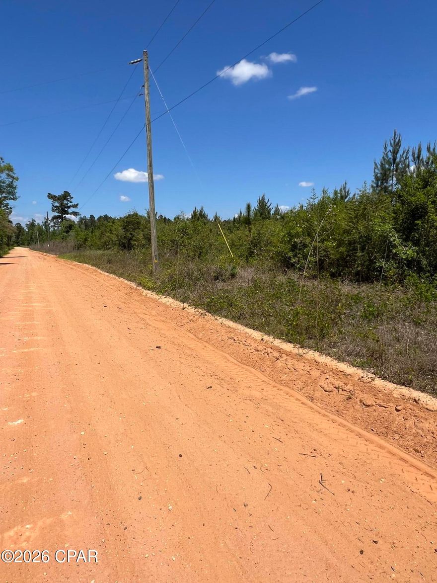 Discover the possibilities with this expansive 117-acre tract in Chipley, Florida--an exceptional opportunity for investors, hunters, or those ready to create a private homestead and build a lasting family legacy. Tucked away for privacy yet conveniently located just 45 minutes from the emerald waters and white sandy beaches of Panama City Beach, this property offers the perfect balance of seclusion and accessibility.

The land features eight-year-old planted longleaf pines, making it not only beautiful but also a potentially valuable long-term investment. Well-maintained access roads run throughout the property, and with frontage on a county-maintained dirt road and access points on both ends, navigating and developing the land is both easy and convenient.

Whether you're looking to subdivide for investment purposes, establish a hunting retreat, or create your own self-sustaining homestead, this property provides the space and flexibility to bring your vision to life. Abundant wildlife, peaceful surroundings, and endless potential make this a rare find in today's market.

Opportunities like this don't come around often--117 acres of usable land with unlimited possibilities. Your private paradise awaits.