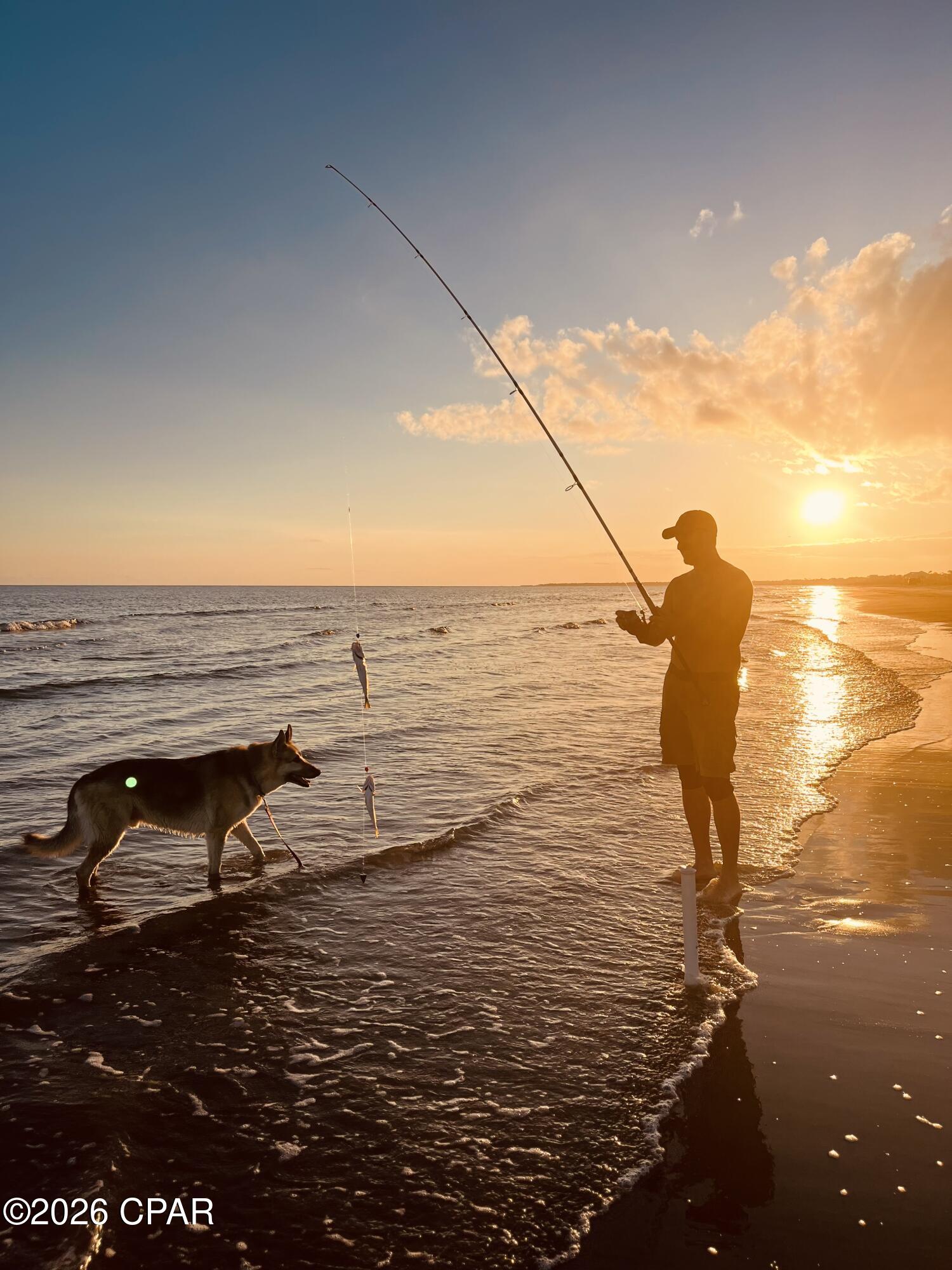 Curve At The Cape - Land