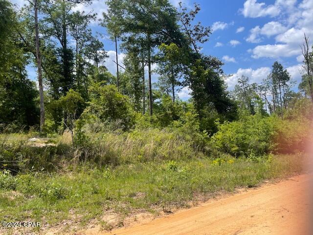 Compass Lake Hills Unit 3 - Land