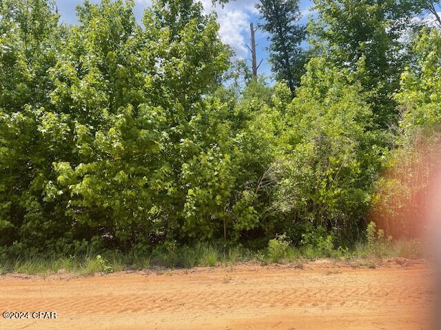 Compass Lake Hills Unit 3 - Land