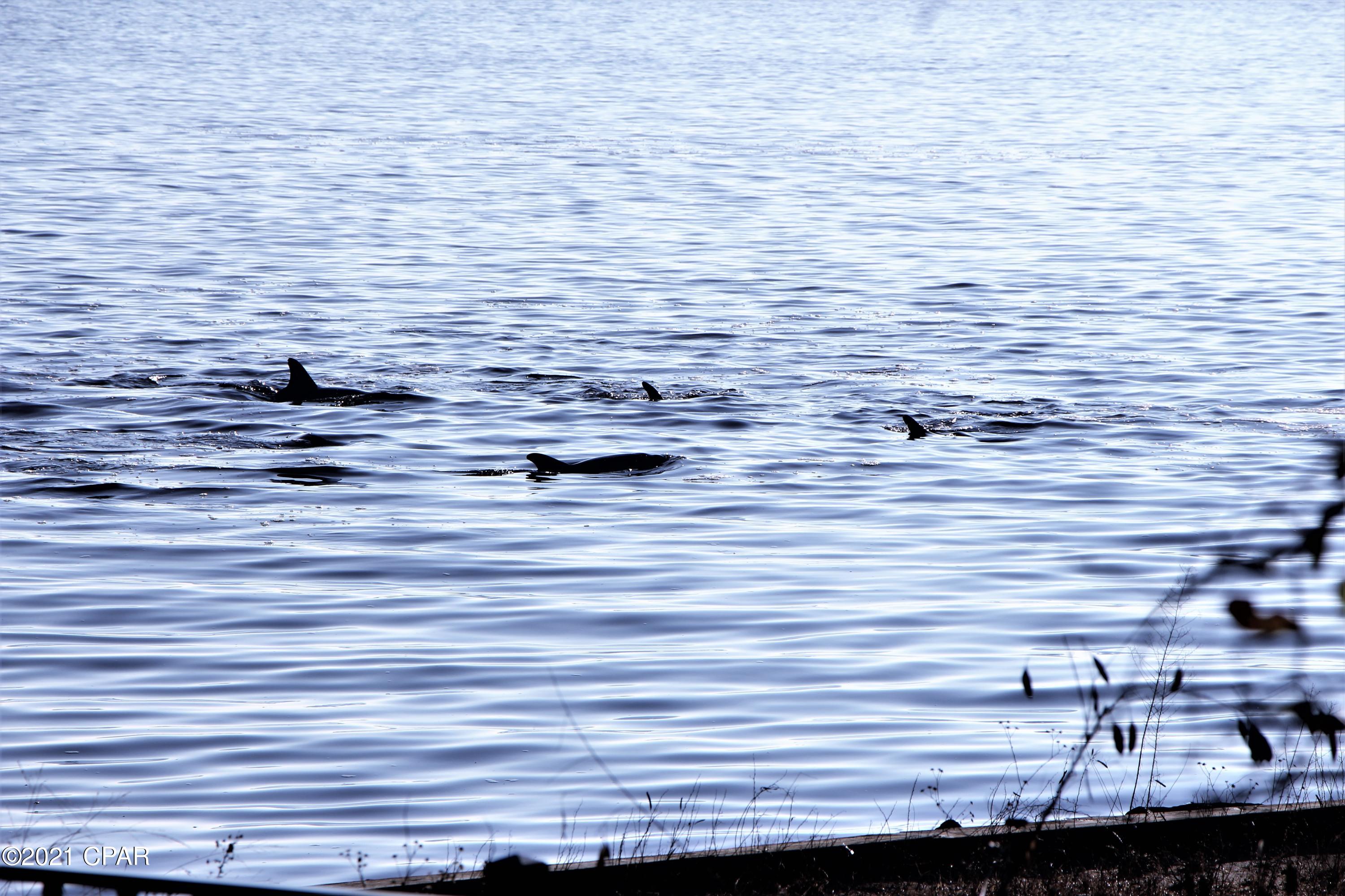 Driftwood Estates - Residential