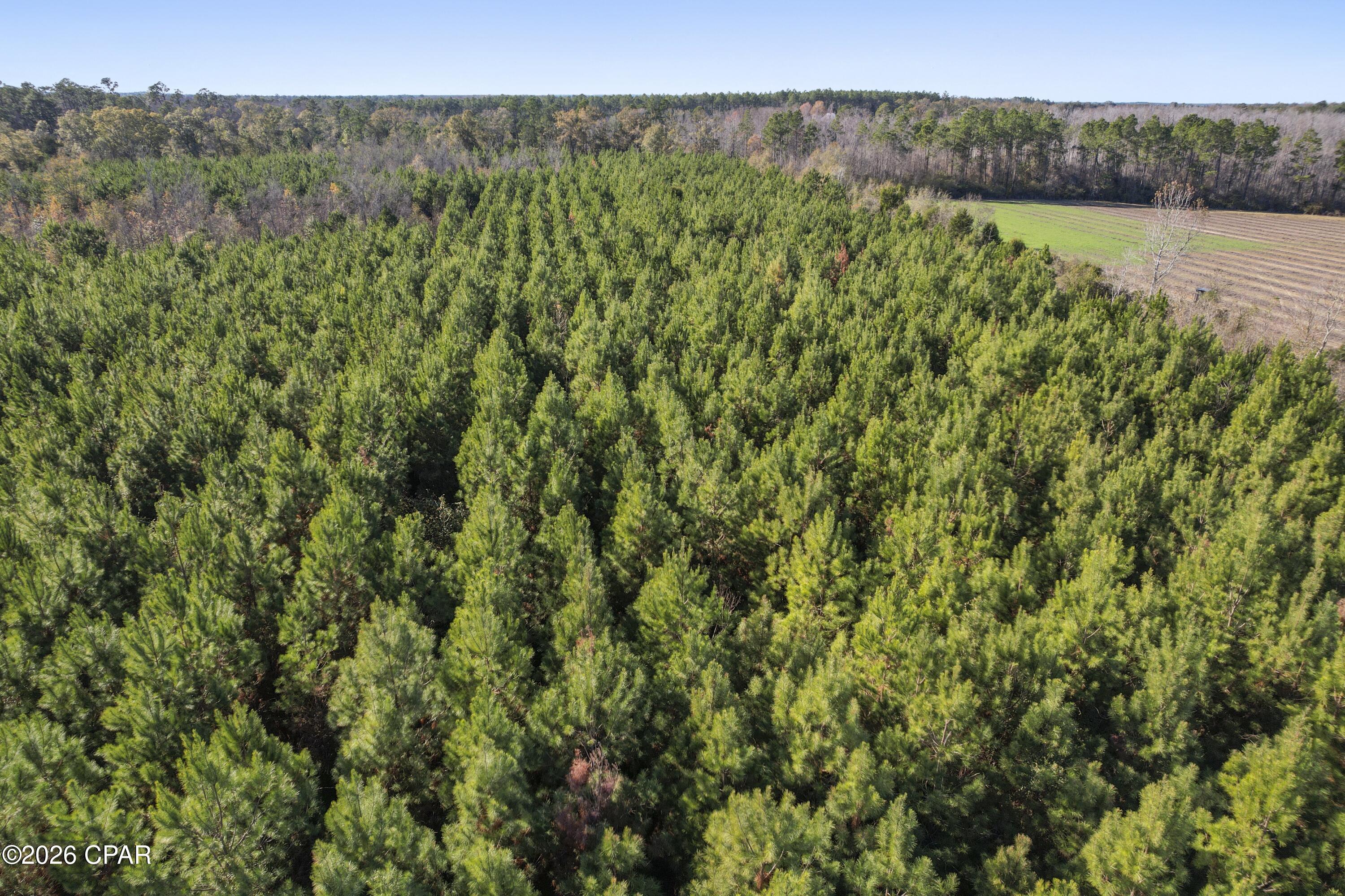 [No Recorded Subdiv] - Land