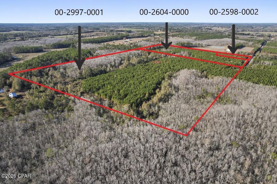Discover 60 acres of opportunity in the quiet countryside of Chipley. This expansive tract features young, planted pine and a natural landscape that offers both privacy and versatility. With ample road access and convenient proximity to a major highway, the property provides a rare balance of rural seclusion and practical accessibility.

Whether you're envisioning a private estate, recreational retreat, timber investment, or future development, this property offers the space and flexibility to bring those plans to life. The level acreage and established pine growth create a strong foundation for a wide range of uses. A prime North Florida land offering ready for its next chapter