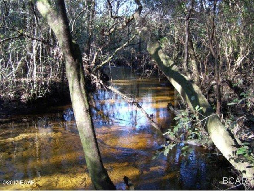 ***Fresh Water Creek*** On a Nice Cleared 5 acres parcel in a private setting close to a Major Highway Intersection. (Hwy 231 & Hwy 20)....see pictures!