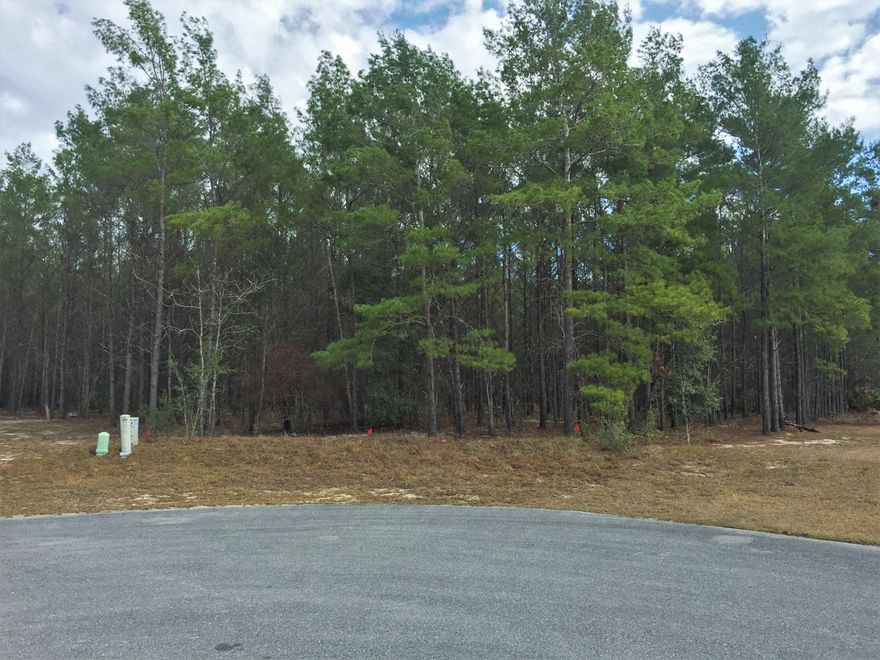 RESIDENTIAL LAND - 1 ACRE - OAKCREST SUBDIVISION.  Located on a paved road, this parcel of land is zoned for a Single Family Residence or Mobile Home. Horses Allowed per zoning!  The neighboring homes are attractive and well maintained.  Located in an X Flood Zone - Low Risk (insurance not required unless requested). No HOA Fees!  This property is only minutes to Dean Bozeman PreK - 12th Grade, around 15 minutes to the International Airport and around 35 minutes to the White Sandy Beaches.  You can enjoy living in a nice neighborhood without being too close to your neighbors.  Added bonus:  This property is located at a stop sign and 90 degree turn.  No cars zooming by!   Come drive by your future home site today!