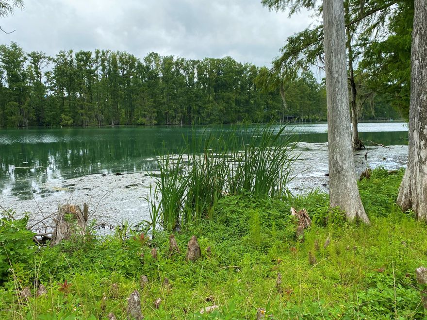 WATERFRONT!!! MERRIT'S MILL POND!!! This lot is READY TO BUILD ON and is in one of the best subdivisions in Marianna. It has been surveyed, under ground electric has been run all the way to the water, tap fees have been paid for public sewer/water and are ready for hook up. The lot has been leveled, cleared and is ready to build on!!  Why they call it a pond, I am not sure. It is actually a 202-acre reservoir, 4 miles long and fed mostly by one spring named Blue Springs. Considered to be one of the most beautiful springs to explore by divers, Blue Springs main vent is a limestone cave close to 5,000 ft. in length. It is a first magnitude spring, discharging an average of about 76 million gallons a day, and is the head waters of Merritt's Mill pond.

It's a must see!!!