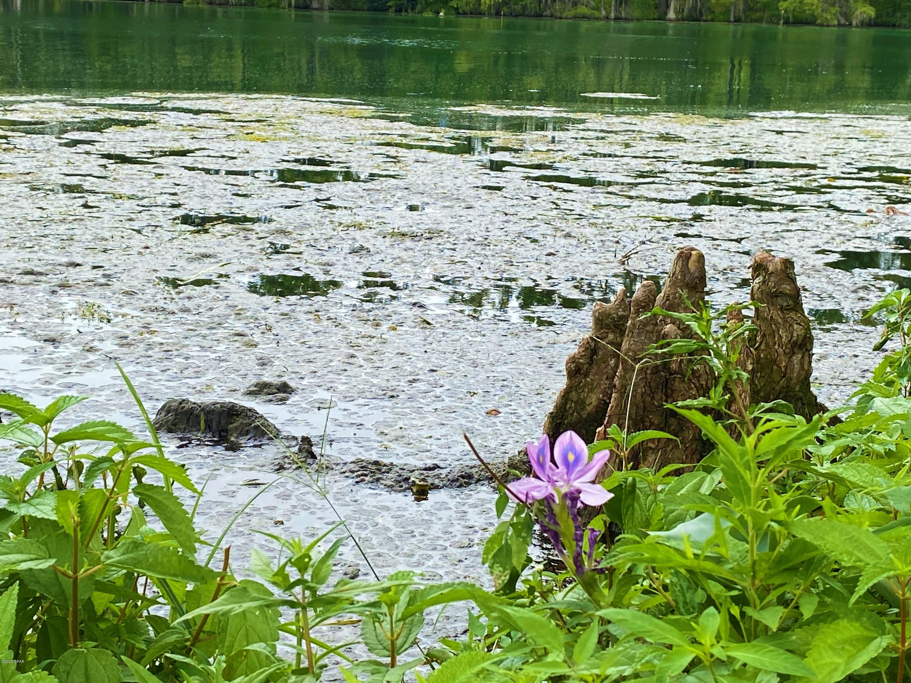 Indian Springs - Land