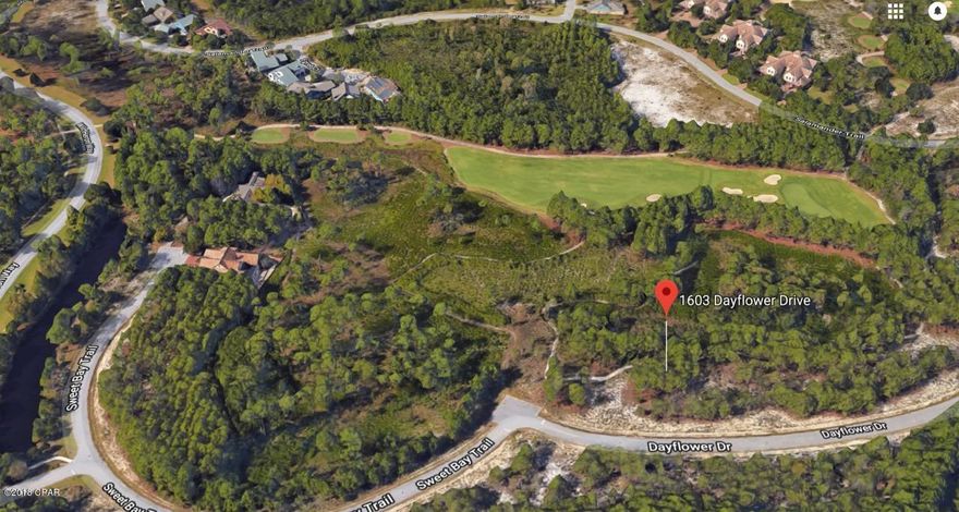 Unbelievable price for a gorgeous lot in Wild Heron. Approx 93x125 and backing up to conservation area for extra privacy.  The Wild Heron web site states it best: Wild Heron, a 734-acre Coastal Sanctuary, is located on the shores of Lake Powell. Minutes from world class shopping, dining and the World's Most Beautiful Beaches of Panama City Beach, Rosemary Beach, 30A and the Beaches of South Walton County. Residents enjoy world-class amenities including a lakeview swimming pool, health & fitness center, lakeside boardwalk, and a revered oak-filled family park. The lakefront Boathouse and gathering place is well stocked with kayaks and canoes. A series of walkways and nature paths link the amenities for the convenience of all who call it home.