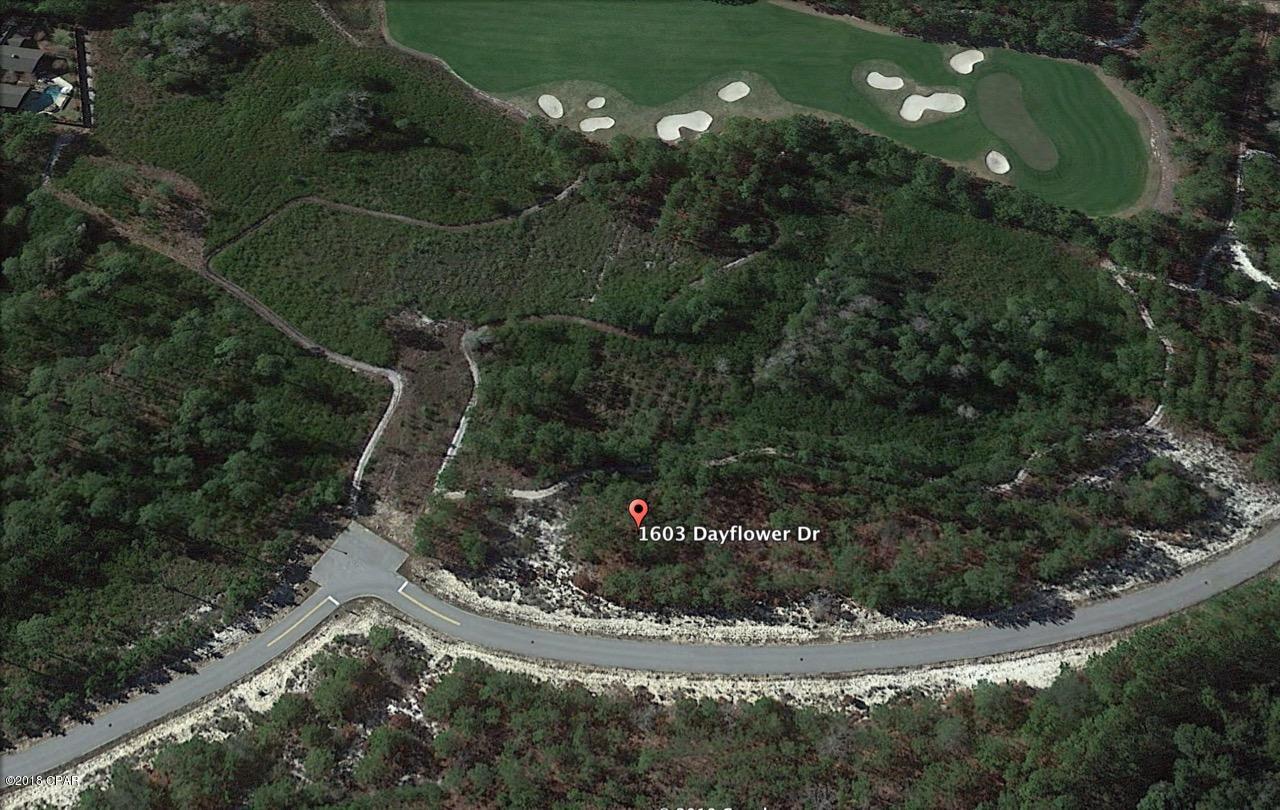 Wild Heron Phase I - Land