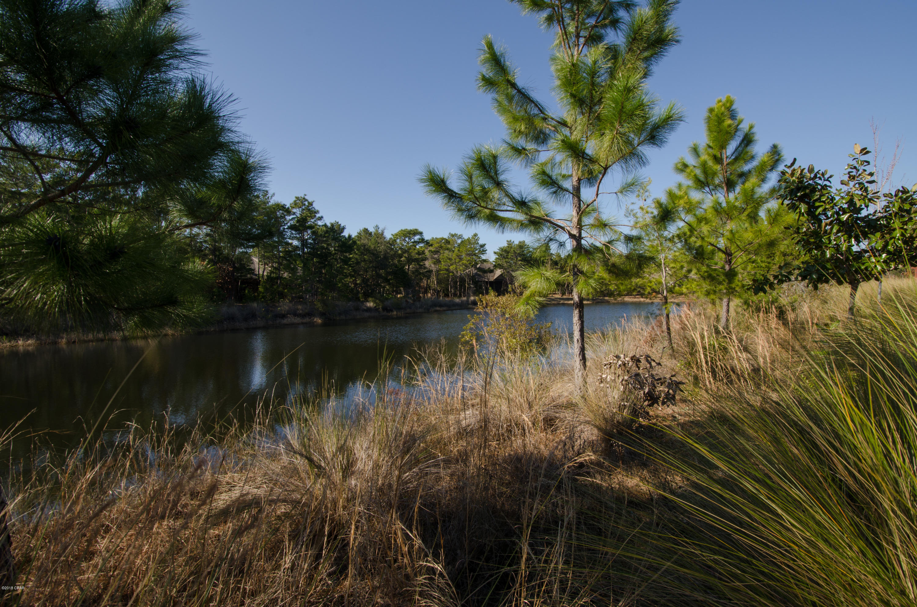 Wild Heron Phase I - Land