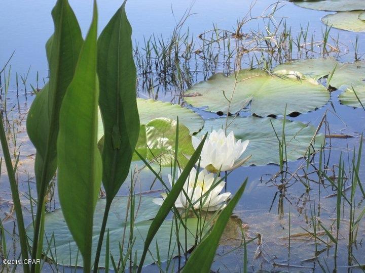 Wild Heron Phase I - Land