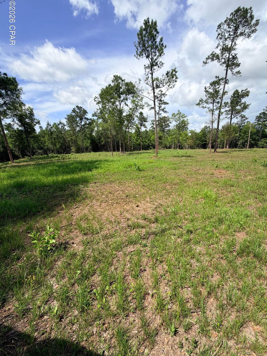 30 acres of pure North Florida beauty on Buttercup Lane in Marianna 🌲🦌



This property is the kind people are always looking for but rarely find. A perfect mix of beautiful timber, open cleared land, and privacy that's hard to come by. Deer and turkey are in abundance, making it an ideal setup for hunting, a weekend getaway, or your future homesite.



Several acres have already been cleared and power has been brought onto the property, with a homesite location previously mapped out and ready to go. No neighbors close by, no traffic, no noise...just peace and quiet while still being close enough to town for convenience.



If you've been looking for a private piece of land in Jackson County to build on, hunt on, or simply escape reality for a while...this one deserves a look.