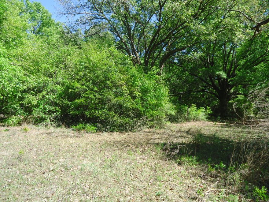 This is a 15 acre parcel in the country! It will make someone a great homesite. Some clearing is needed.  There is an old home site with no value.
