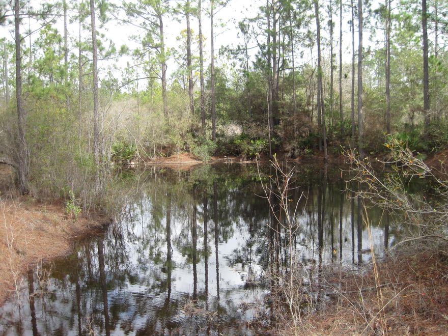 Hunters paradise, stop paying hunting leases when you can buy your very own 20 acre lot. This property has wide roadway size trails through out. Great for hunting lanes or mobility around property. It has a very large pavilion for storage or the start of your new hunting cabin. Lot is lightly wooded and easy to clear to build your dream home or if your in a hurry pull up your mobile home. This area is very peaceful so you can sit back and listen to nature. It would make a great wedding gift or buy it for future generations.