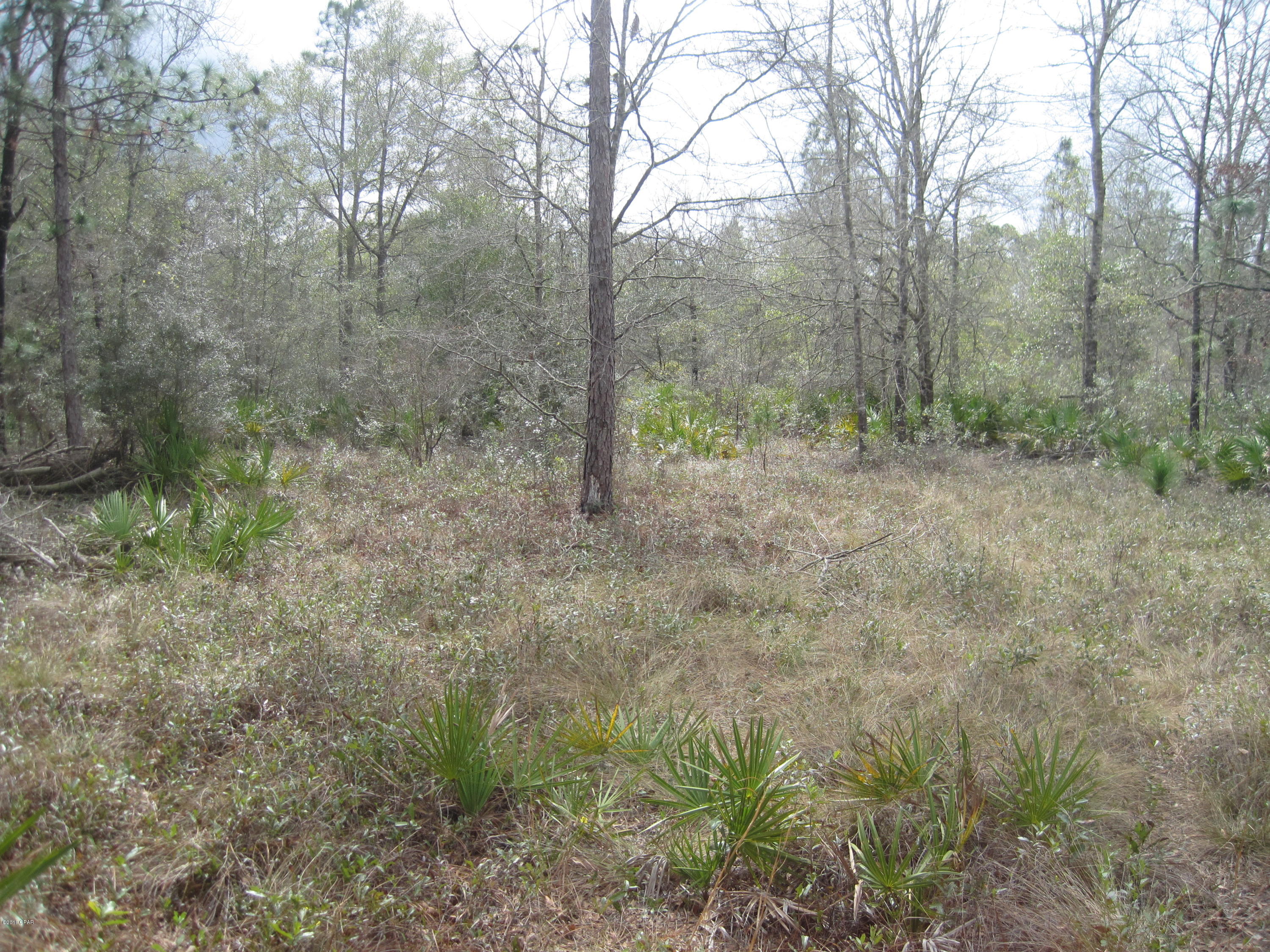 No Named Subdivision - Land