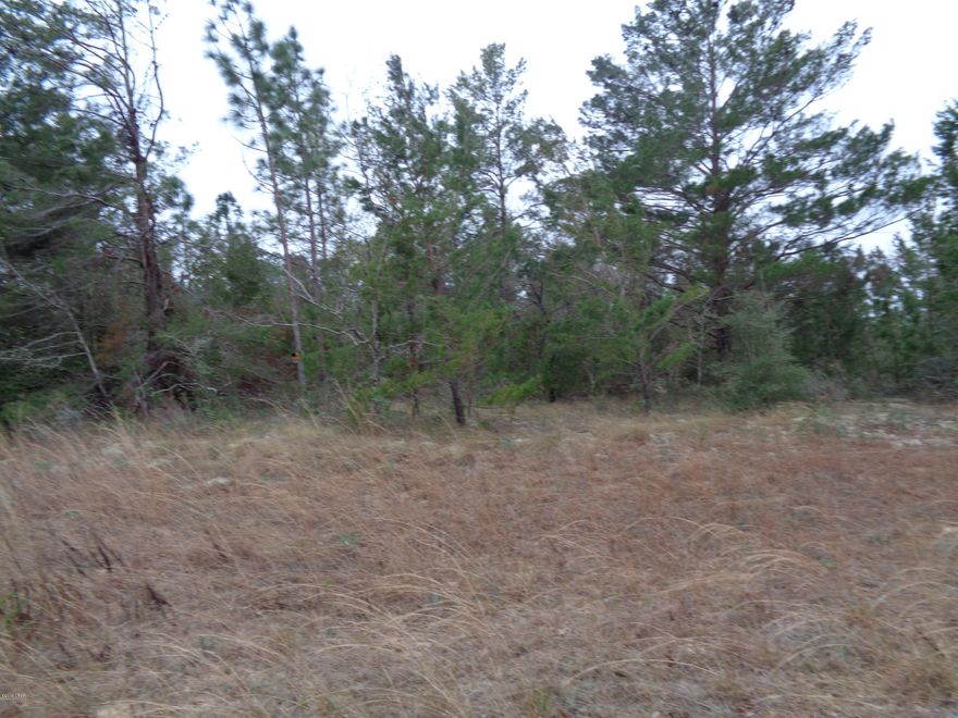 Looking for a quiet place for your home. Great building lot. Some deed restrictions apply only site built homes. Great golf course and lakes for fishing and swimming. Adjoining lots are also available.
