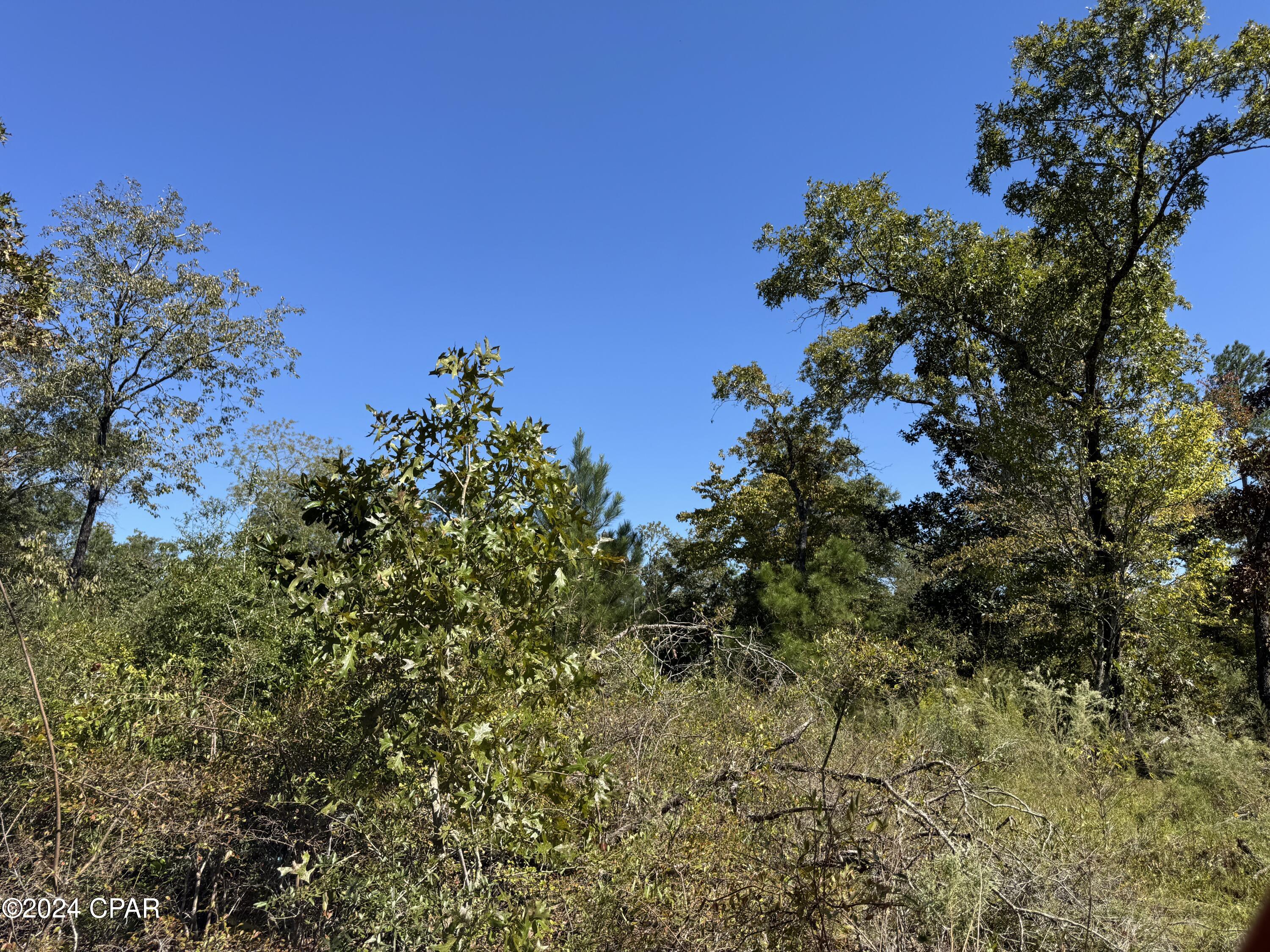 Compass Lake Hills Unit 5 - Land