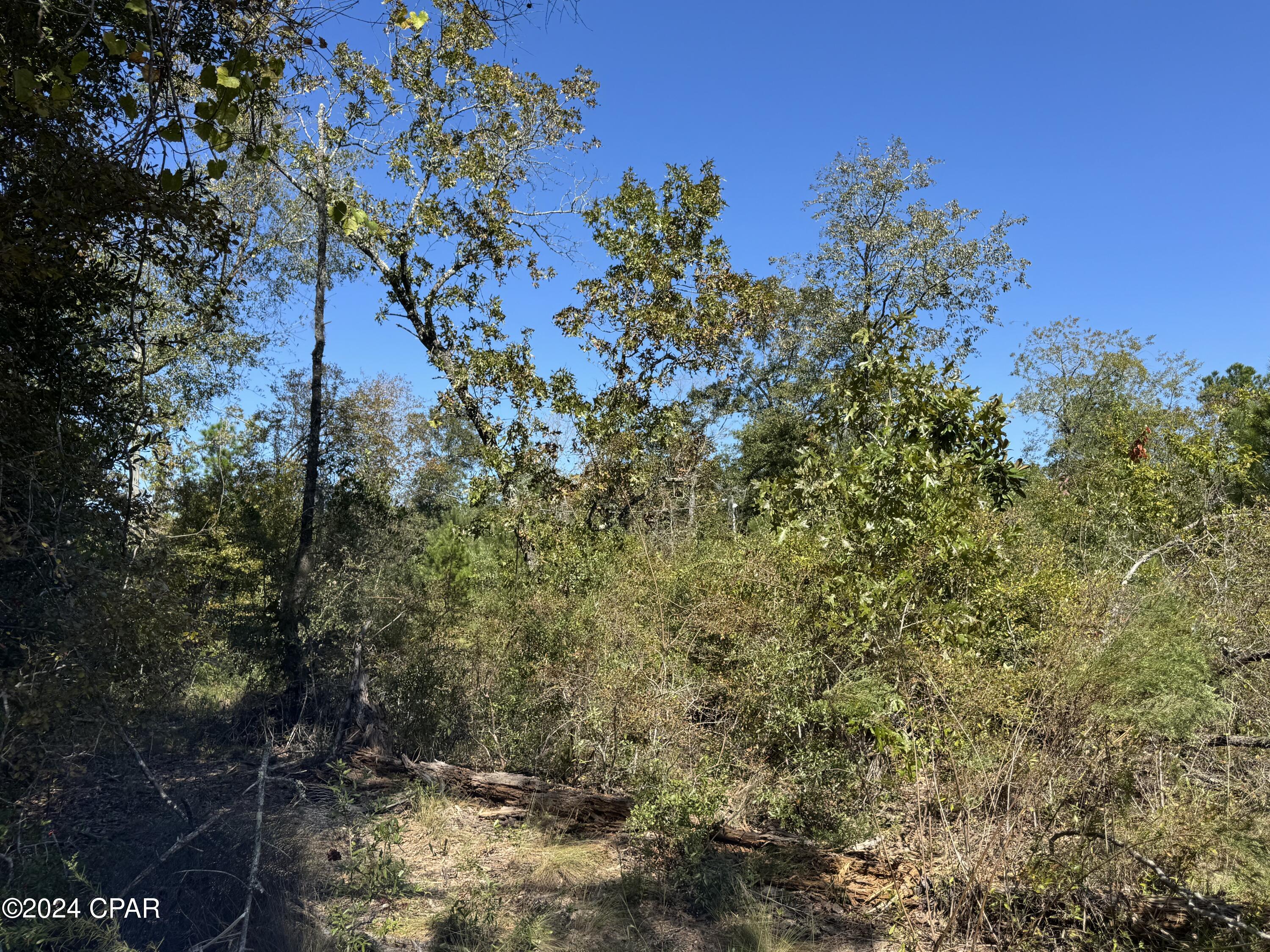 Compass Lake Hills Unit 5 - Land