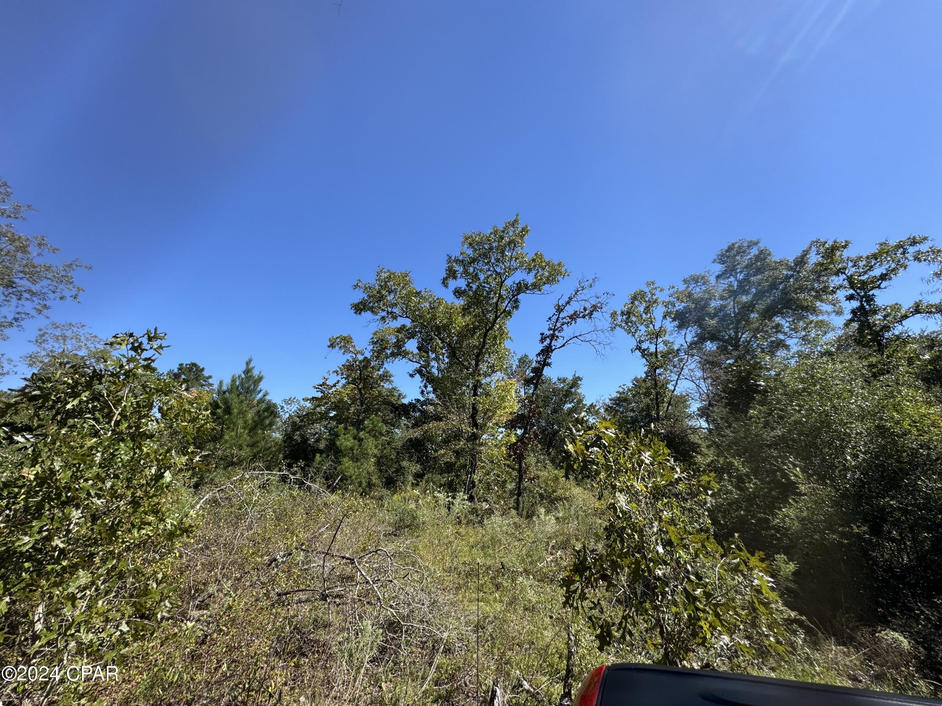 Compass Lake Hills Unit 5 - Land