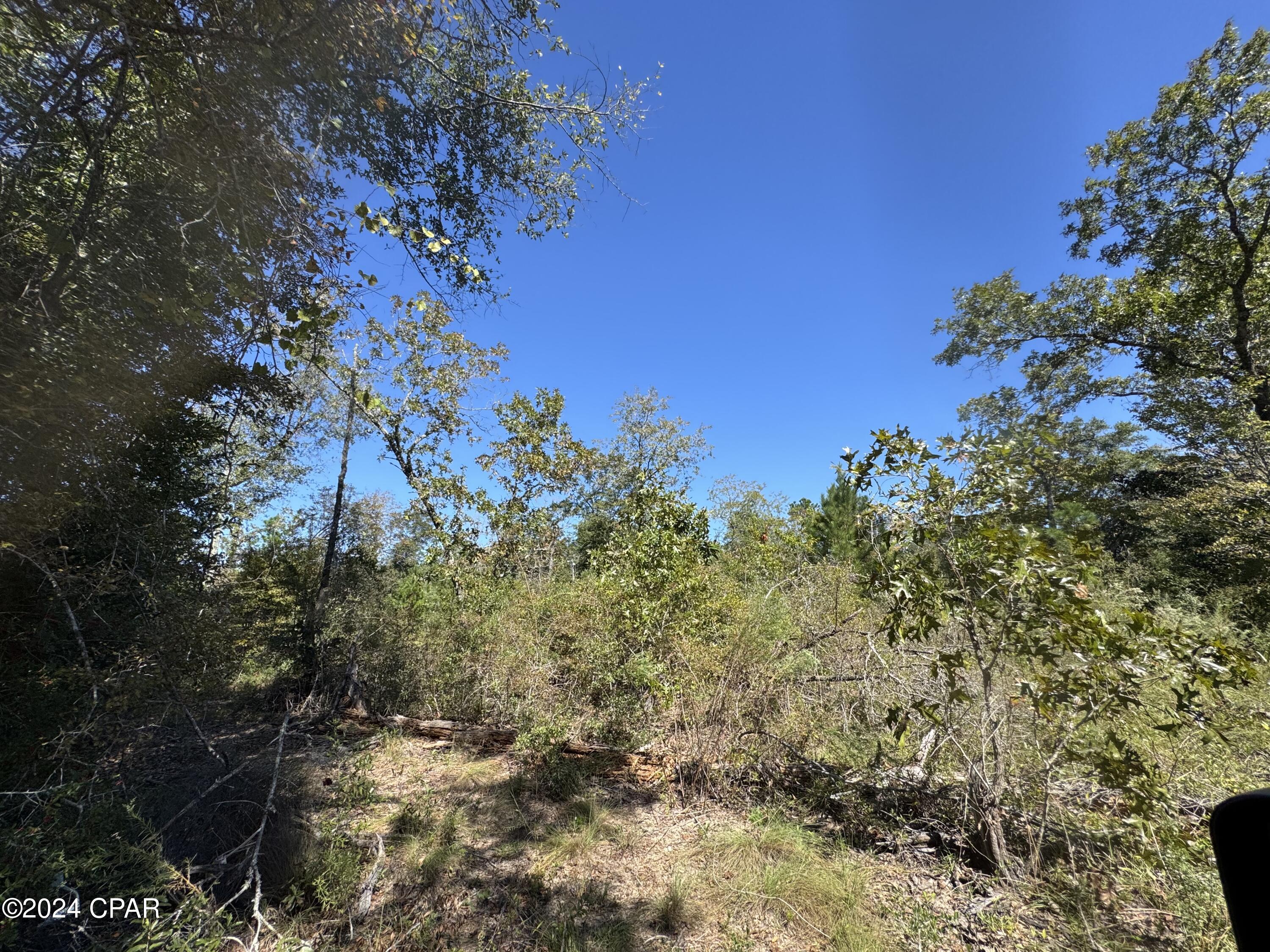 Compass Lake Hills Unit 5 - Land