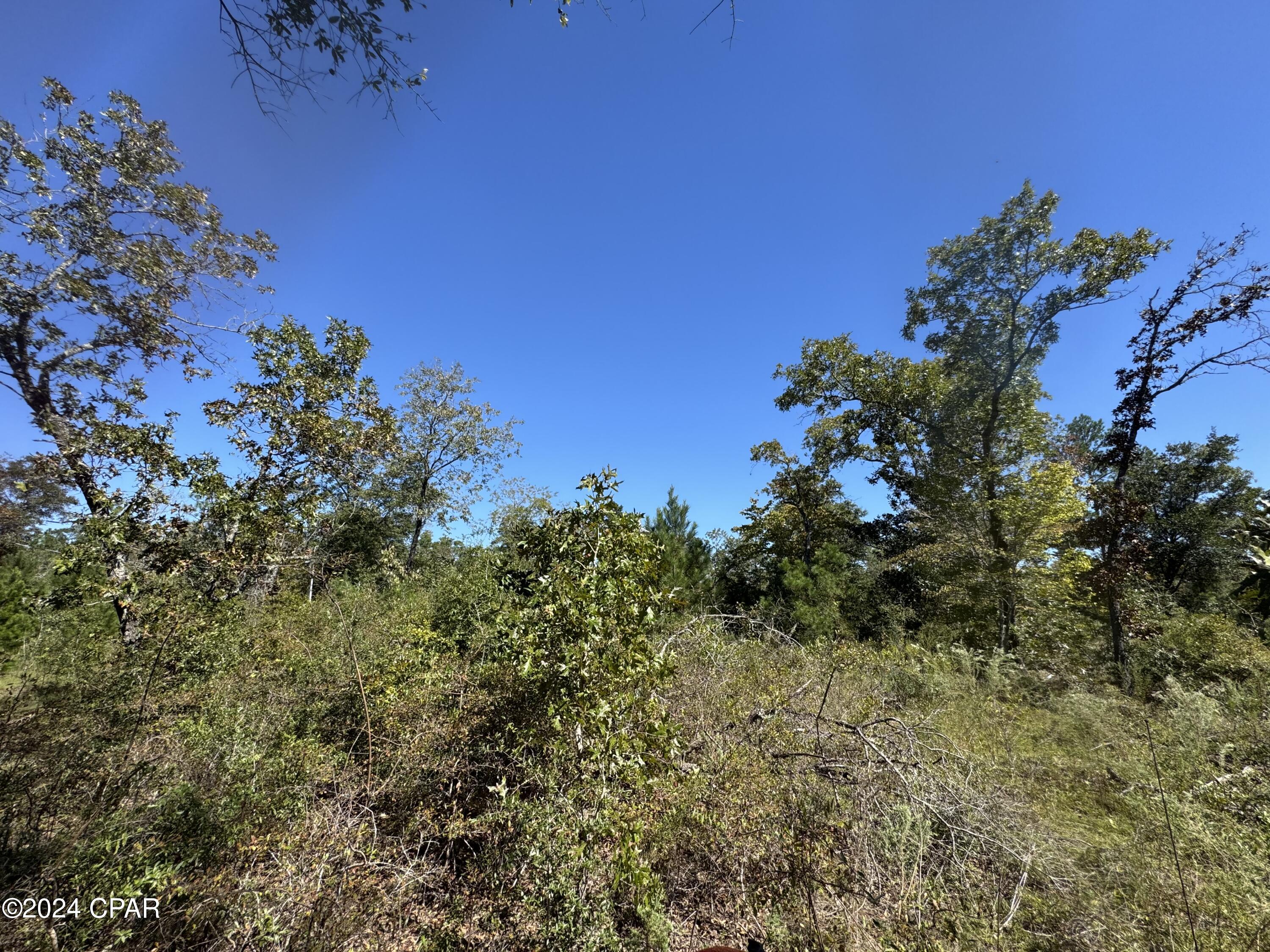 Compass Lake Hills Unit 5 - Land