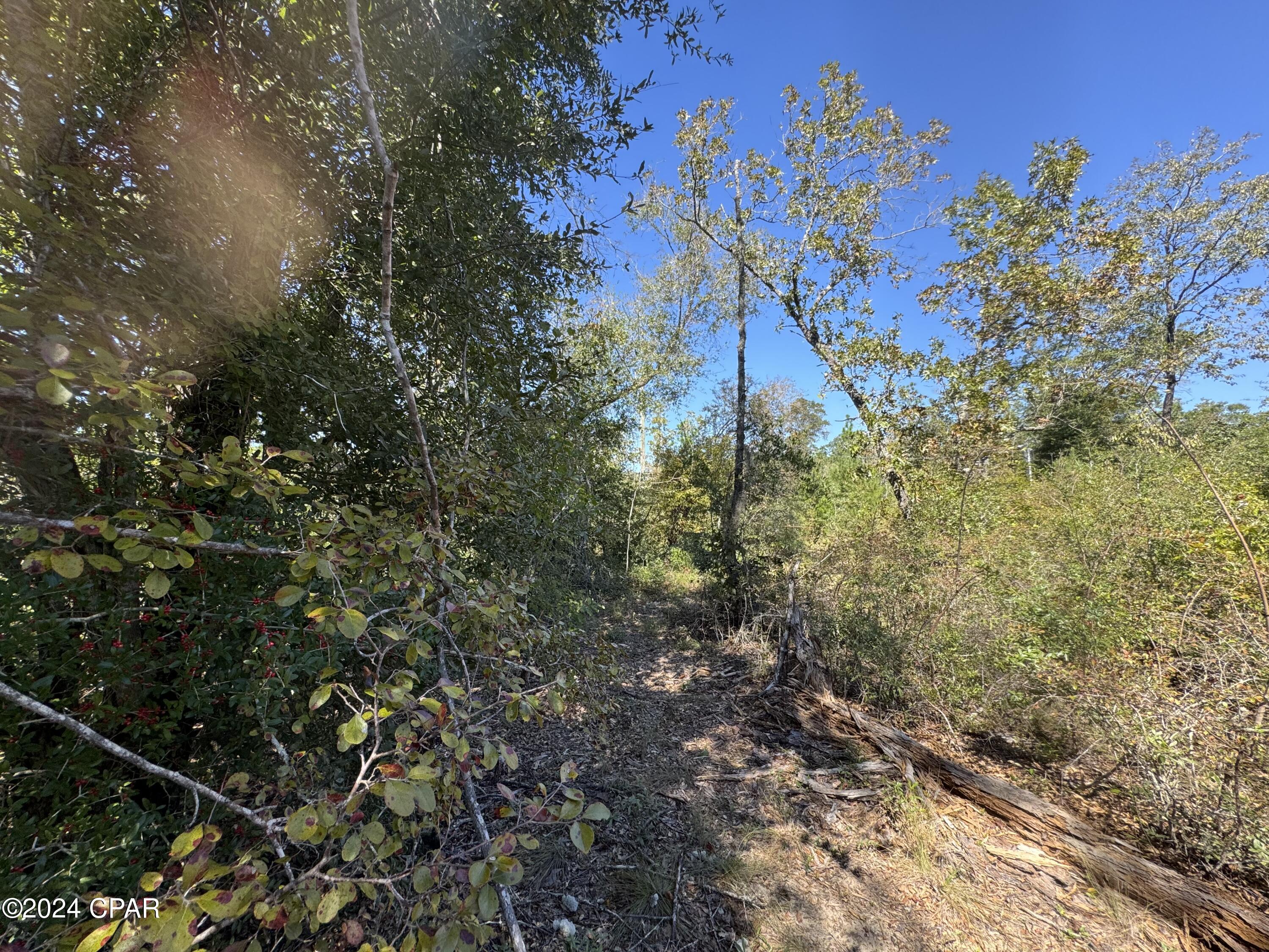 Compass Lake Hills Unit 5 - Land