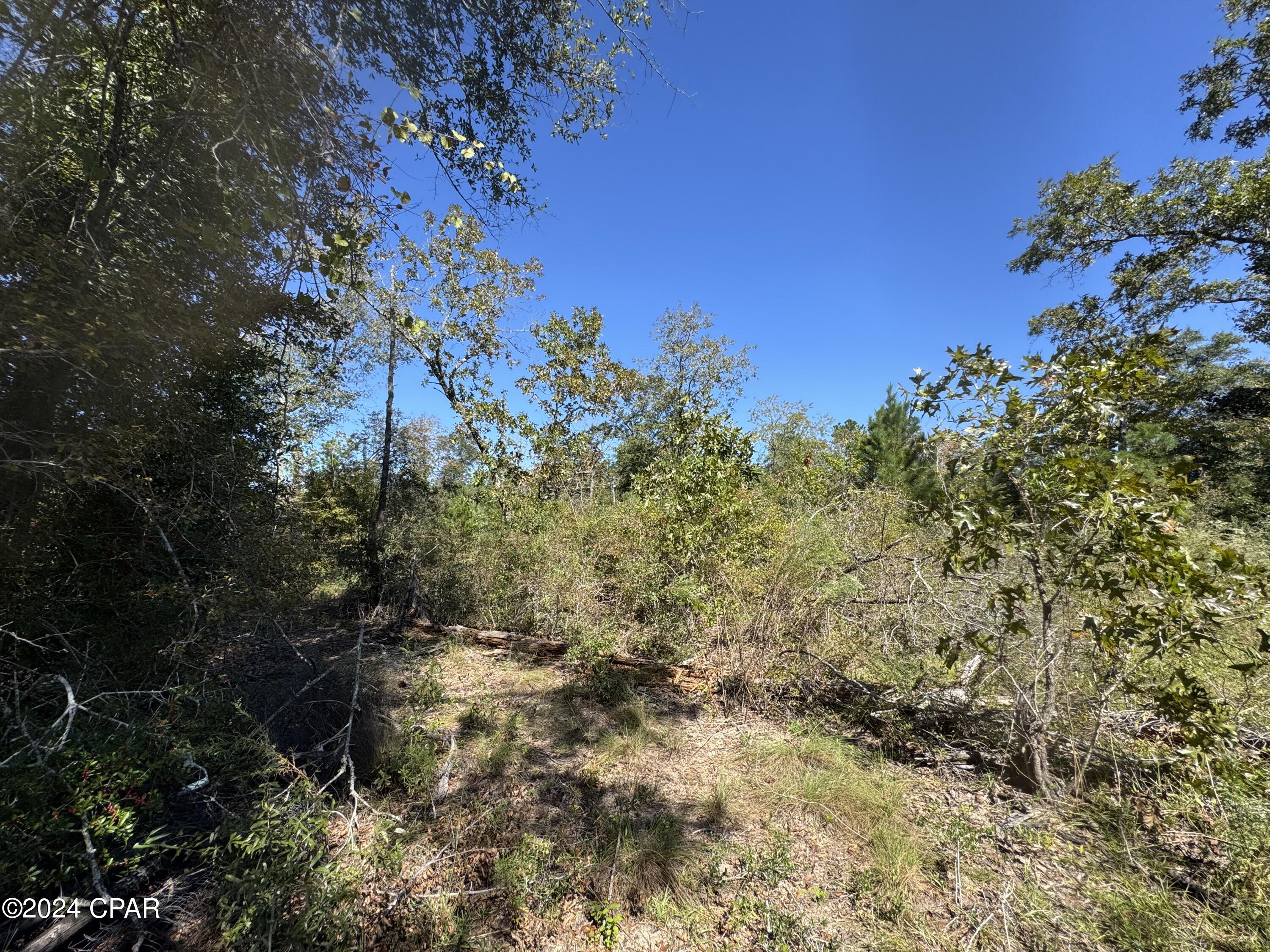 Compass Lake Hills Unit 5 - Land