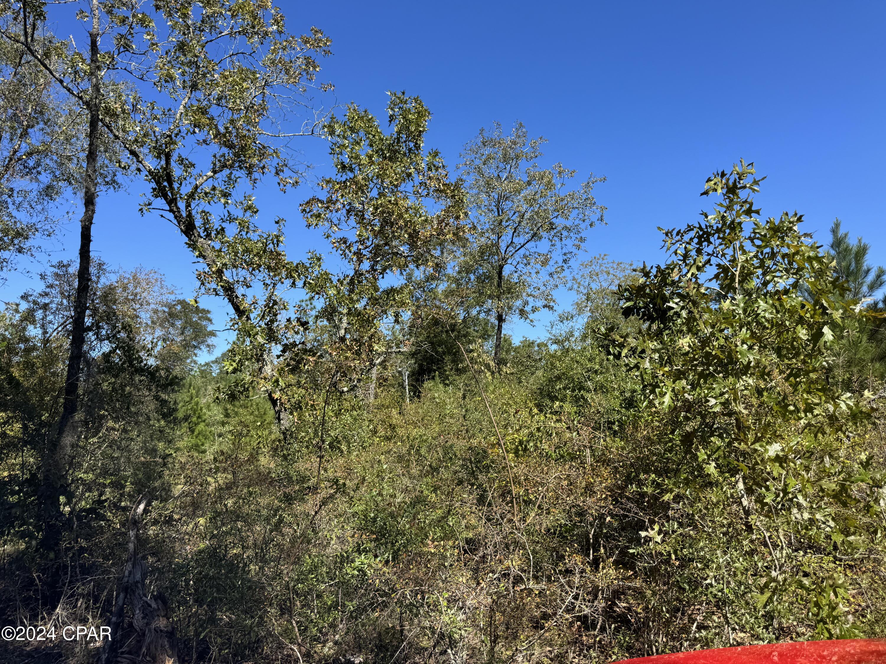 Compass Lake Hills Unit 5 - Land