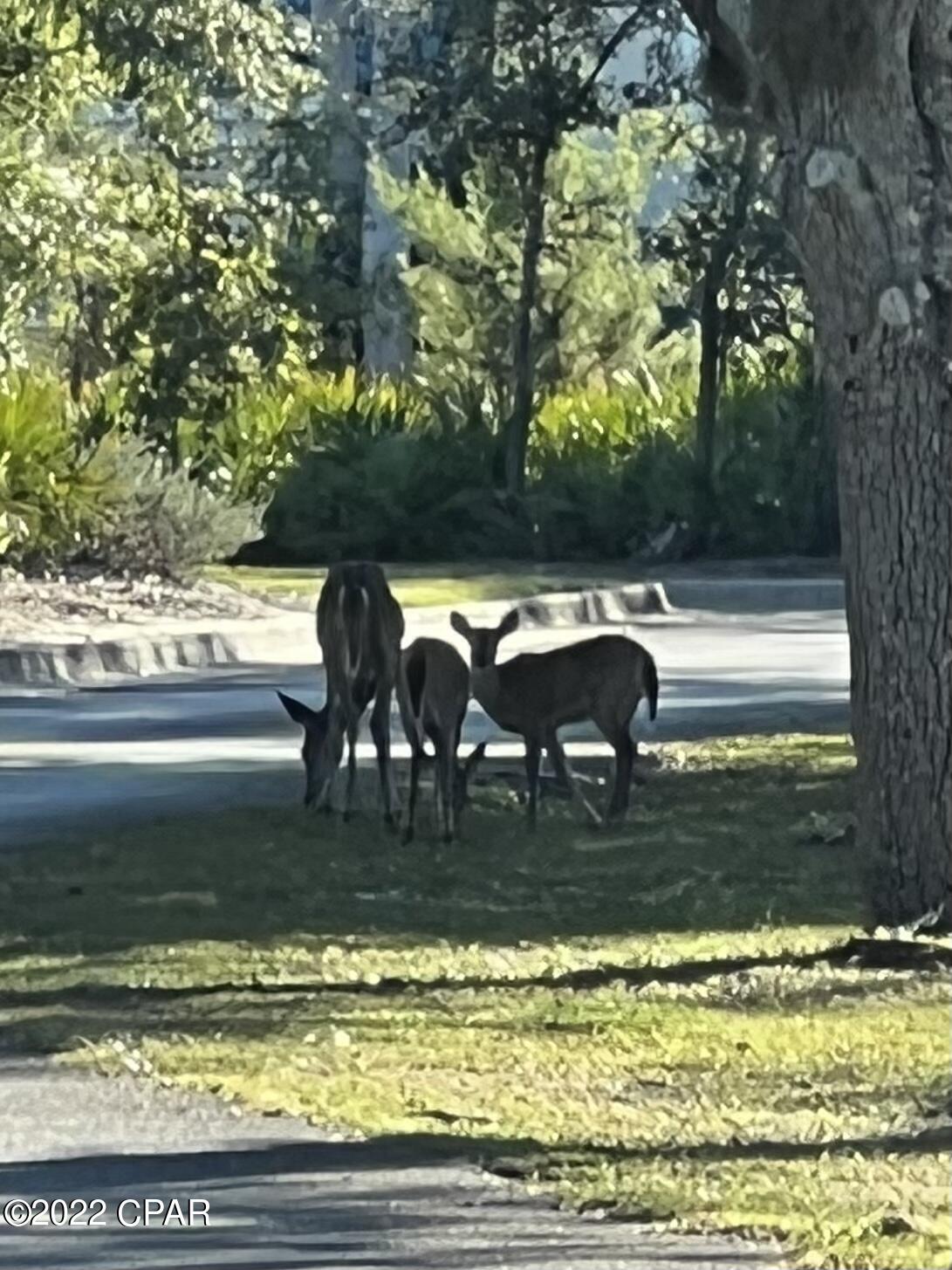 Preserve On The Bay Ph I - Residential