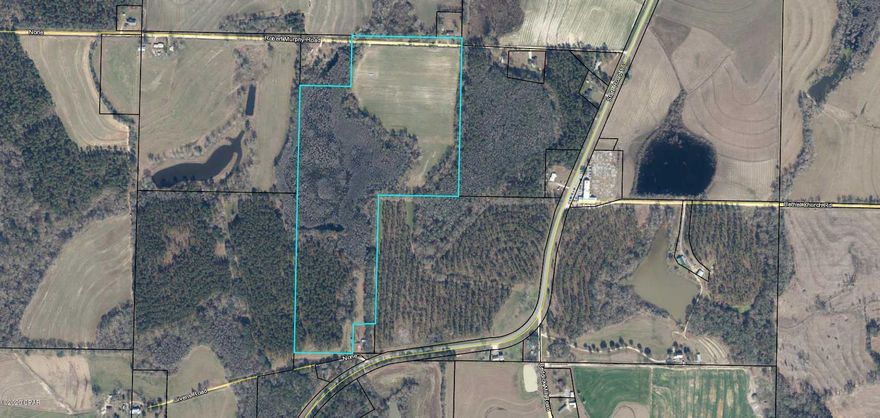 Possibilities are endless with this 55 acre parcel.  The back portion of the property is wooded.