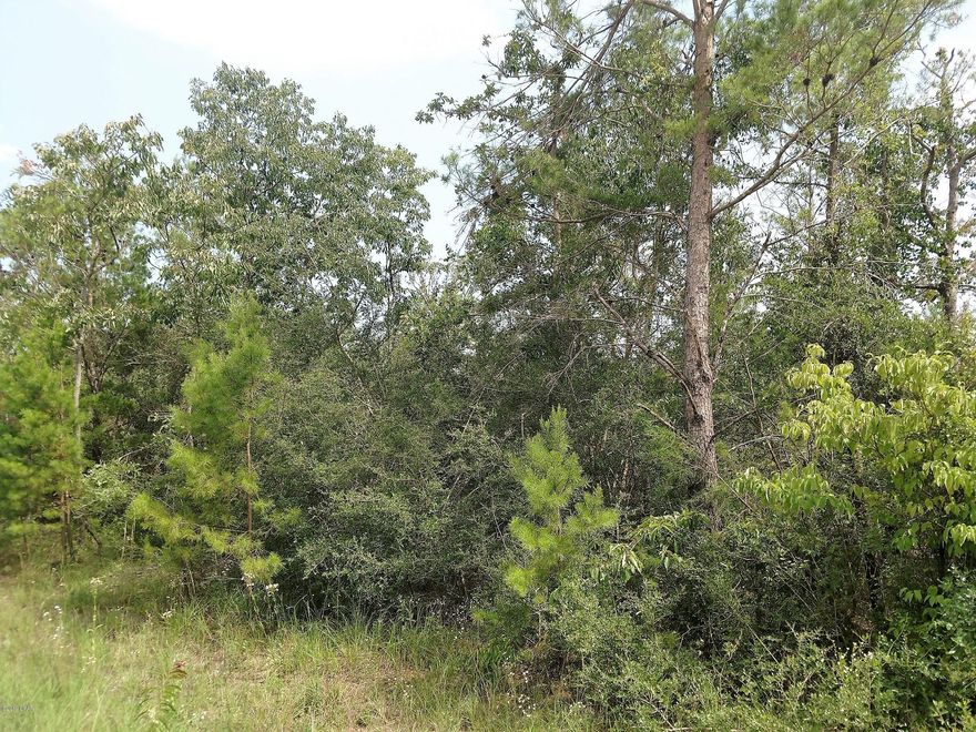 Great 40 acre parcel.  This parcel is conveniently located with nearby access to Highway 231.  This is country living at its best.  The property would be a great place for your dream home, or as a place to getaway.  The possibilities are endless!