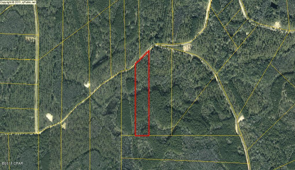 Canopy Crossing - Land