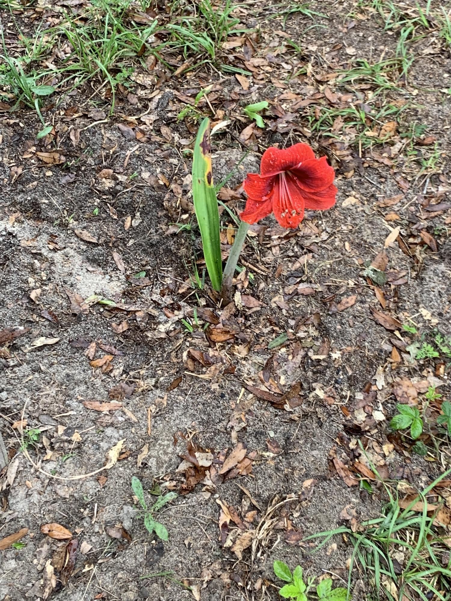 Whispering Pines Estates - Residential