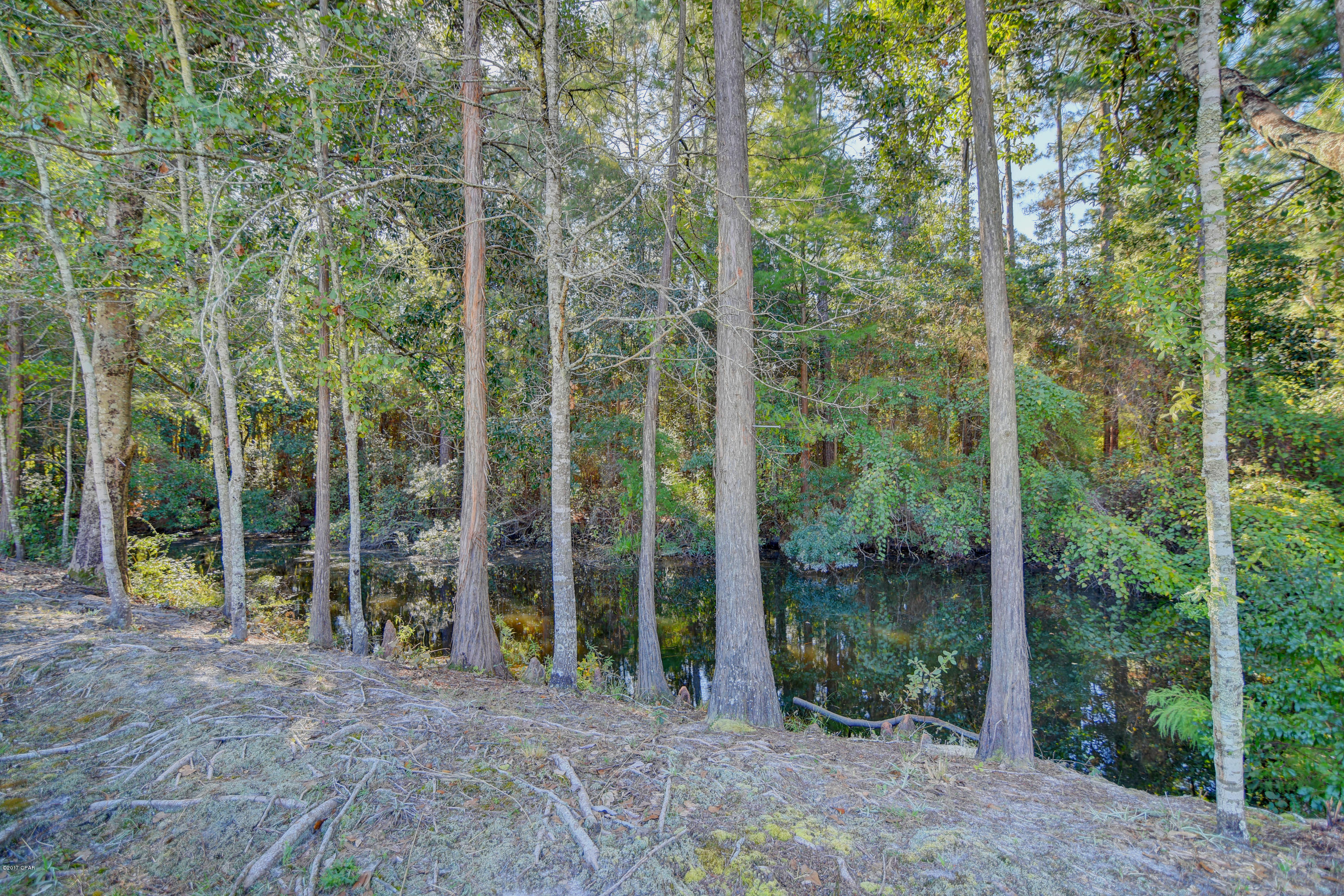 Willow Bend - Residential