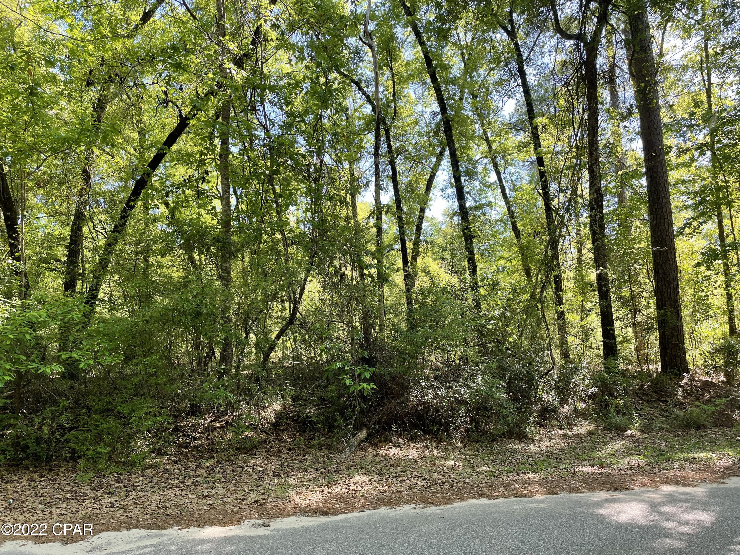 Paradise Lakes - Land