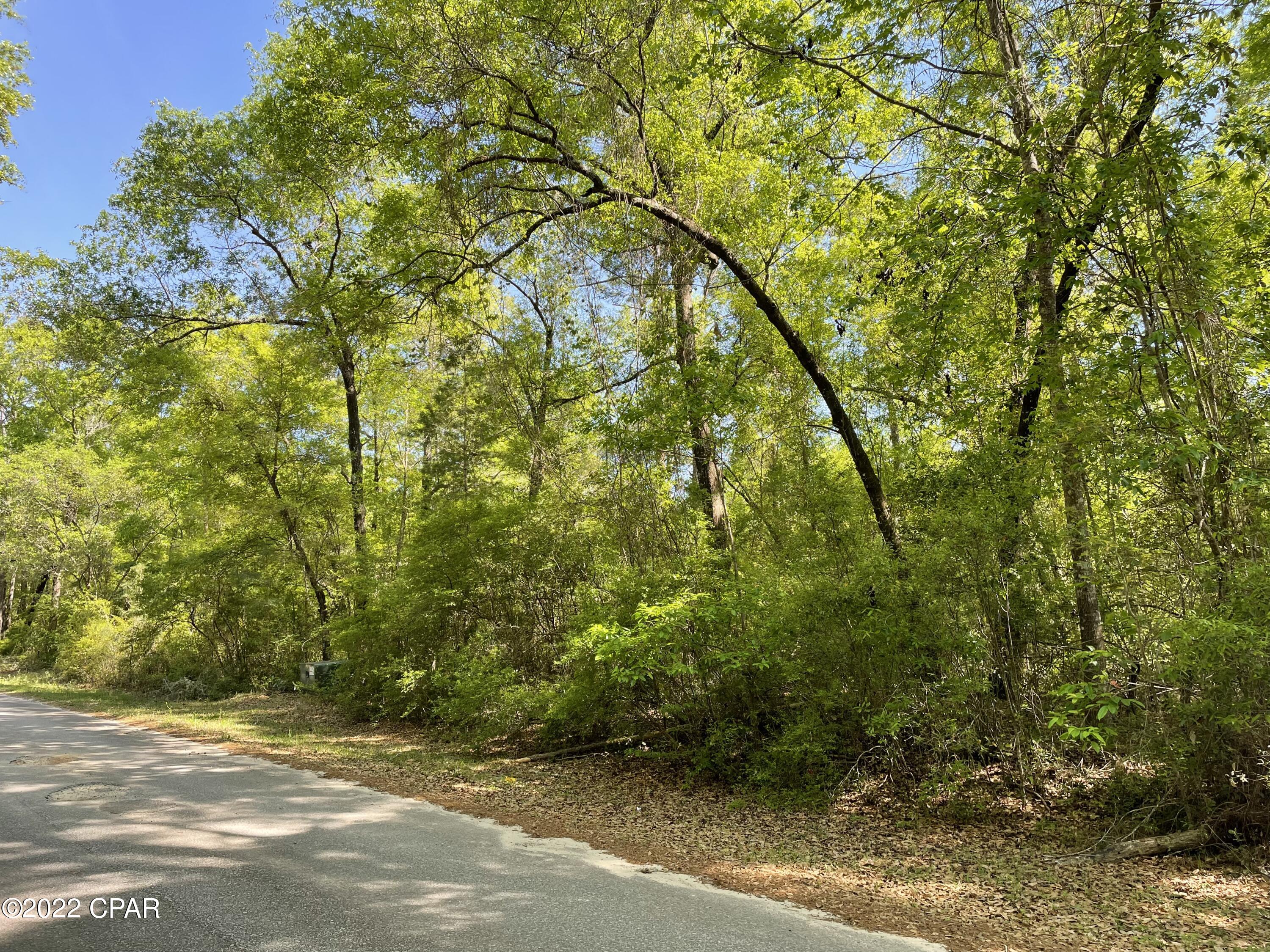 Paradise Lakes - Land