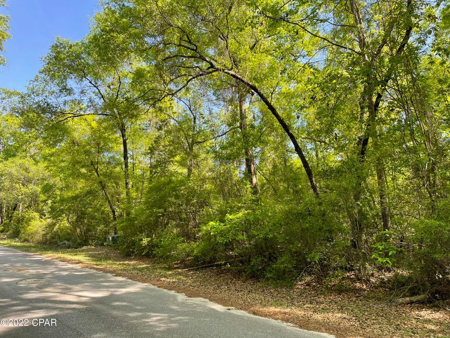 Water view lot directly across the street from Dunford Lake in the beautiful, gated Paradise Lakes Subdivision. This lot is a half acre and is high and dry. Dunford Lake is a 350+ acre spring-fed lake filled with bass, bream, catfish, and other freshwater fish; featuring a community boat ramp for residents to use. If you like the slower pace of life with a water view this is the lot for you. You can enjoy being in the country away from the noise of the city, but still be less than an hour away from Panama City Beach. There are also other smaller towns nearby for the essentials. Modular/manufactured homes may be allowed with permission from the HOA, per their deed restrictions. Buyer to consult with HOA if important.