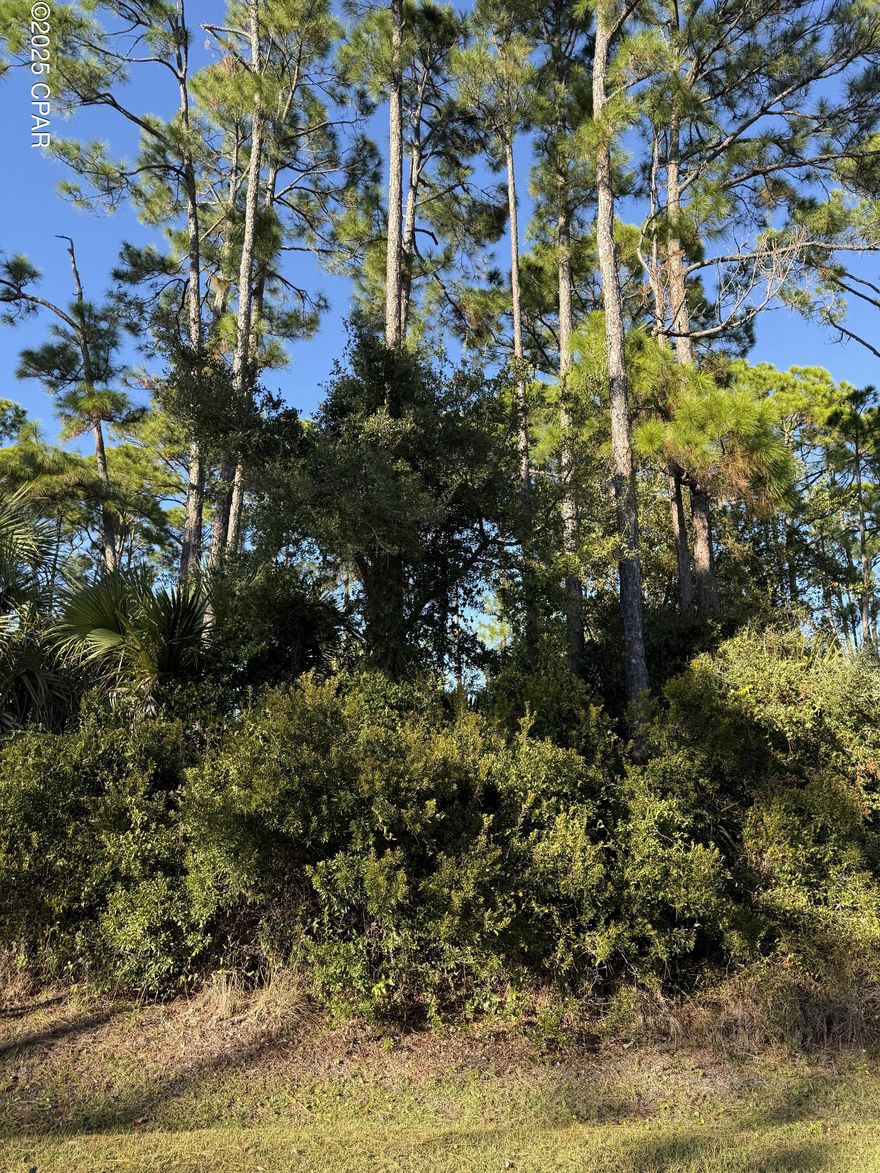 Outstanding building lot that won't break your budget and is in a great location. This FEMA eligible homesite is located in The Cottages at Indian Summer on CR 30 near the World Famous Indian Pass Raw Bar and the newly famous General Store. This lot is only a few steps away from the community pool and across from the direct and dedicated beach access via an expansive boardwalk. Water, shared community septic, and underground power. Bring your beach cottage plans and live the beach dream near the Indian Pass Beach area.