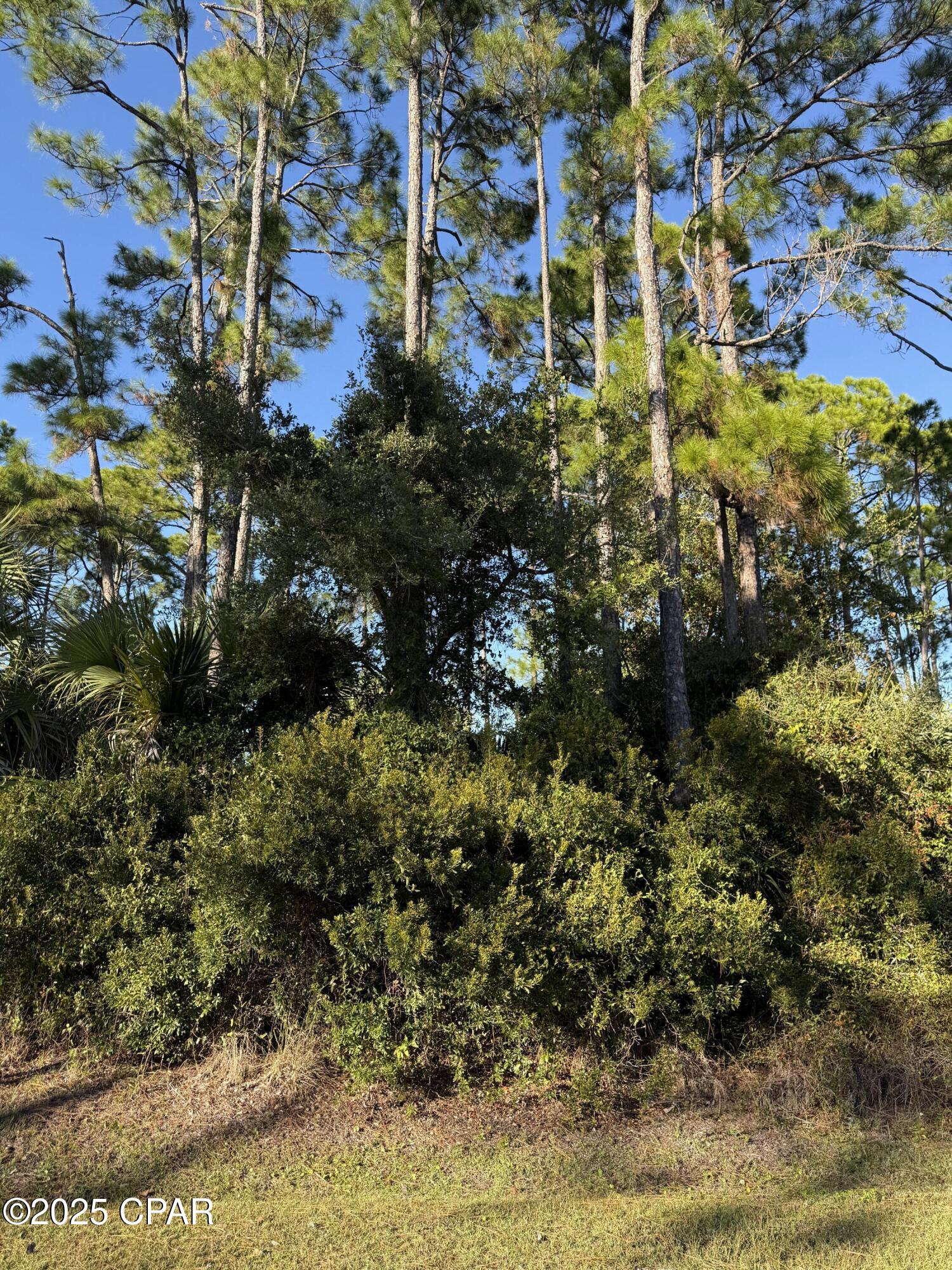 Cottages @ Indian Summer - Land