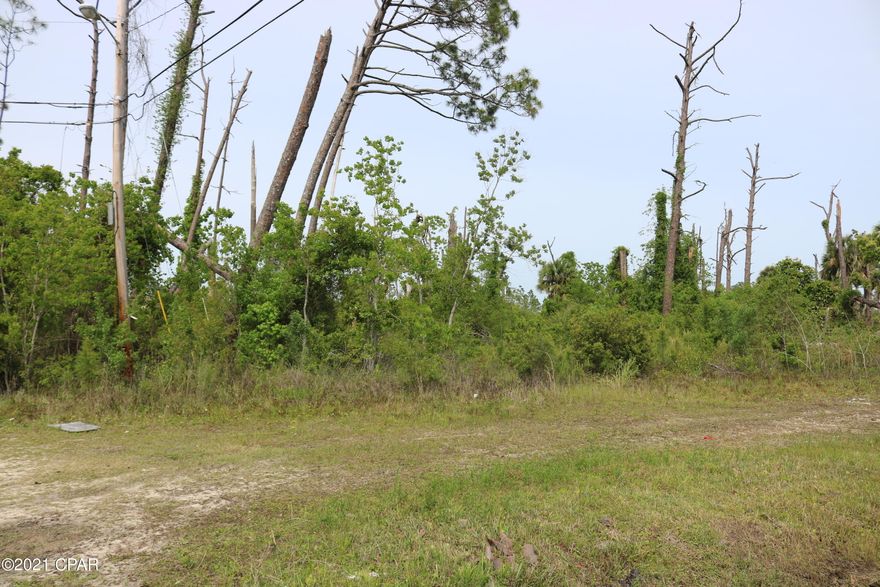 Large double lot in Callaway with water view of East Bay when cleared.  Property at one time had a mobile home on it so the property already has city water and sewer.  Current zoning with the City of Callaway is R-6M which includes Single Family or Mobile Homes. This property has so many possibilities,  so feel free to go look or drive by the property today!