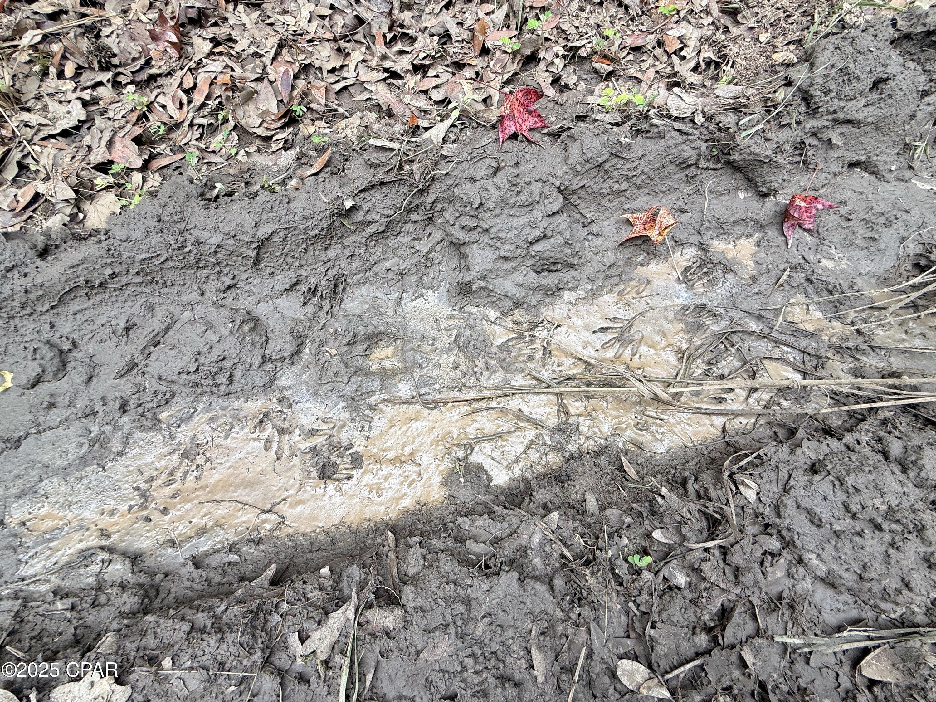 No Named Subdivision - Land