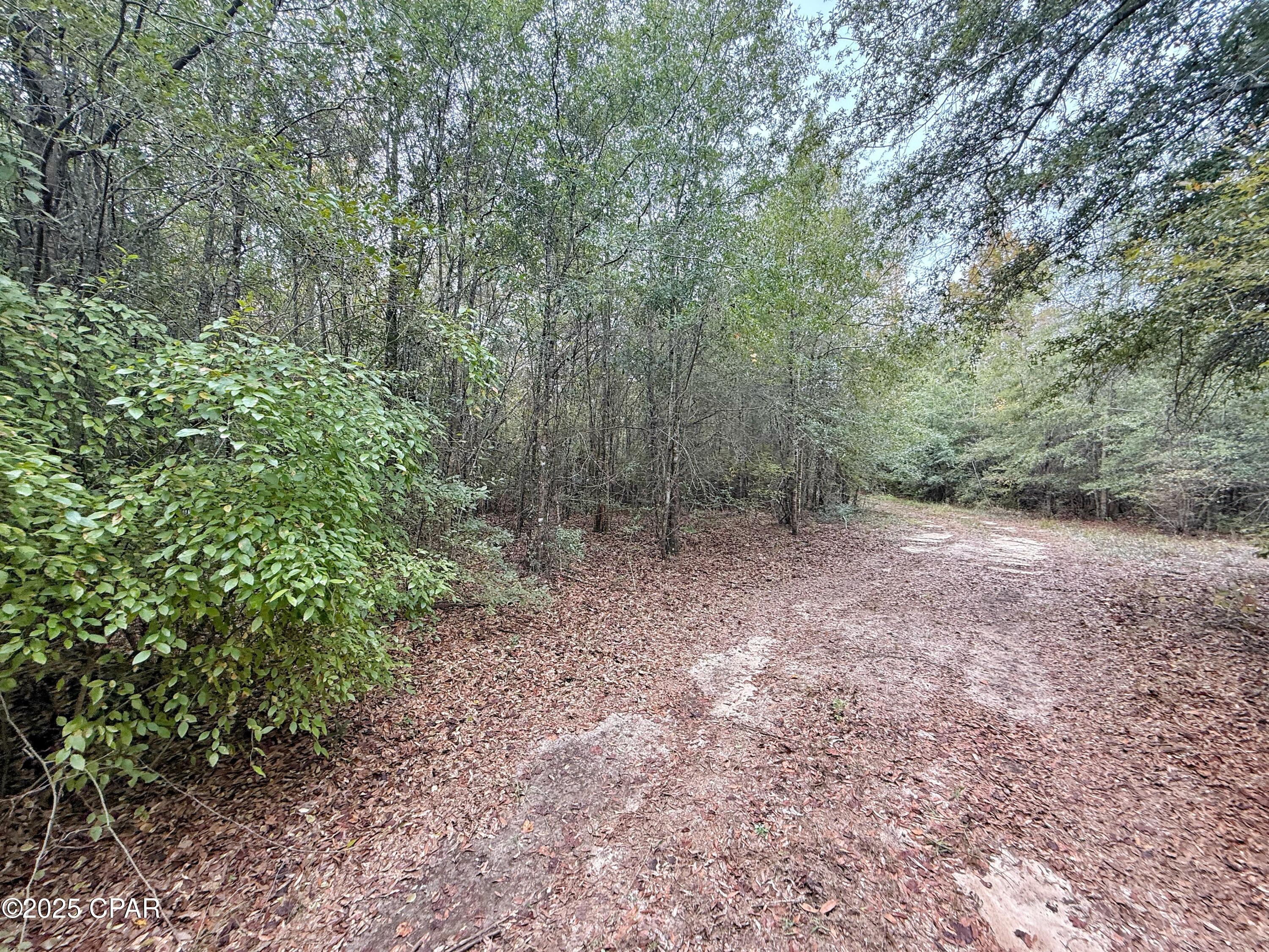 No Named Subdivision - Land