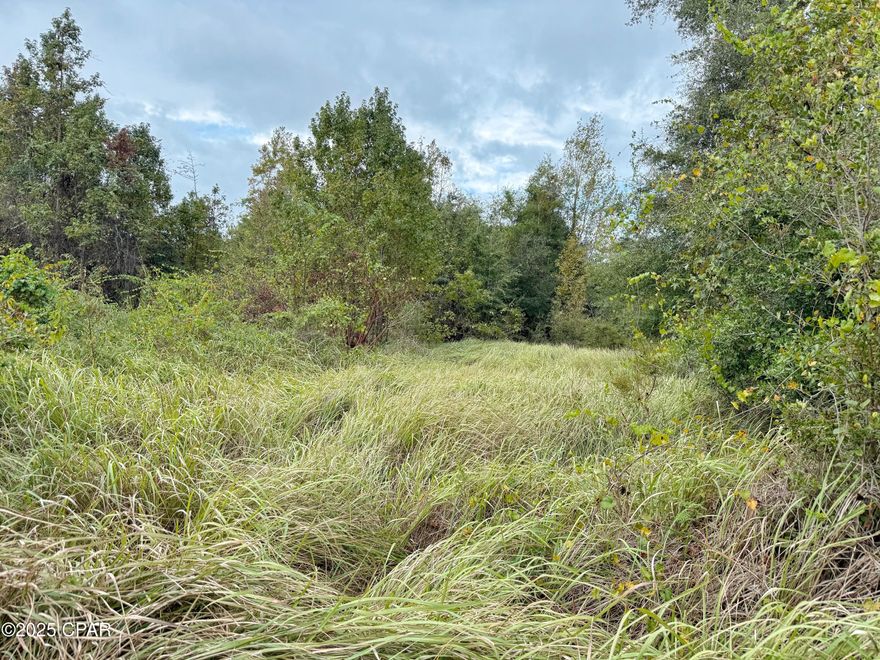 Discover 16 acres of natural beauty just outside of Marianna! This wooded tract offers the perfect blend of privacy and convenience—ideal for hunting, recreation, or creating your own country retreat. Trails are already cut throughout the property, making it easy to explore and enjoy the peaceful surroundings. Located just a short drive off a paved road, you'll find the serenity of nature without sacrificing access to town. The parcel is divided by Iron Bridge Road, with approximately 13.5+ acres on the west side and 2+ acres on the east side, offering flexibility and options for use. No restrictions. Please see aerial photo attached showing flood zone areas.