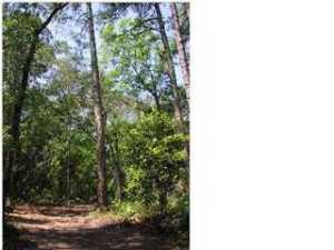 Cedar Creek Ph II - Land