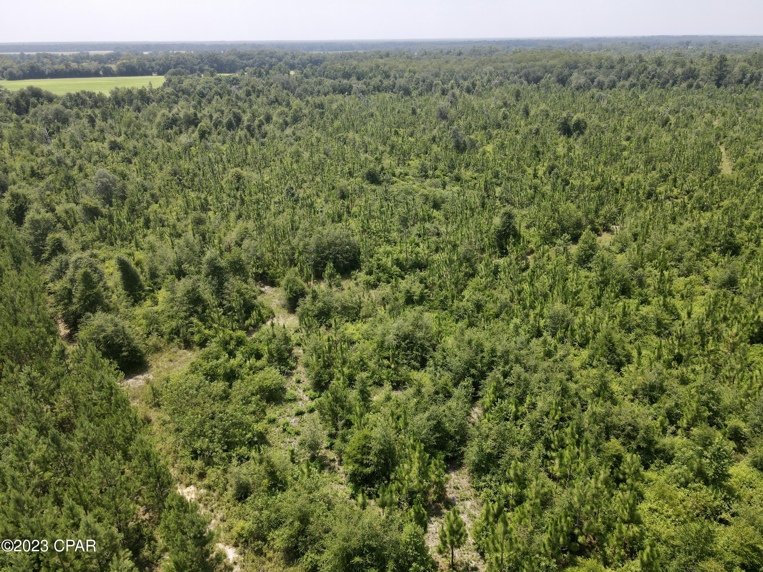 No Named Subdivision - Land