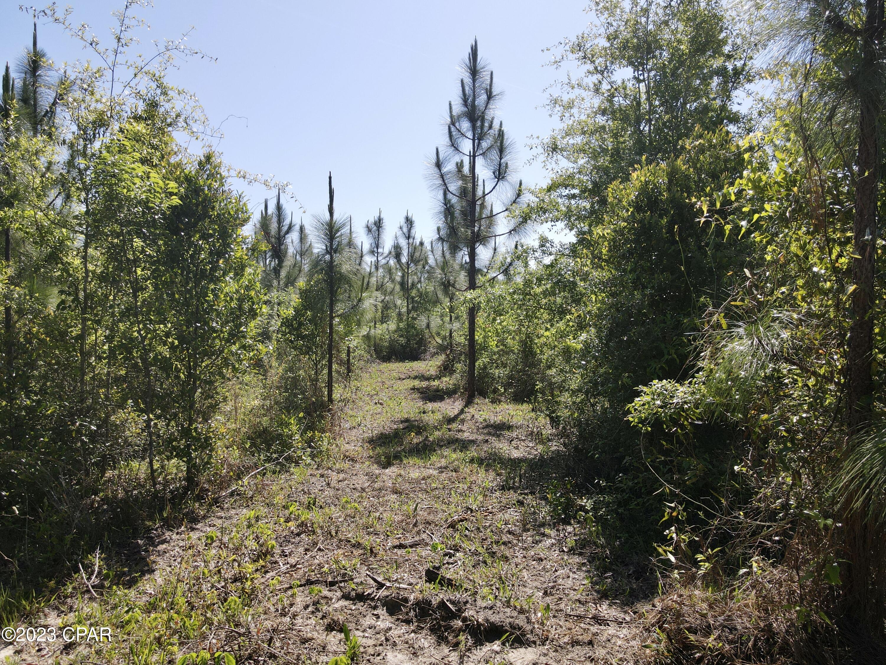 No Named Subdivision - Land