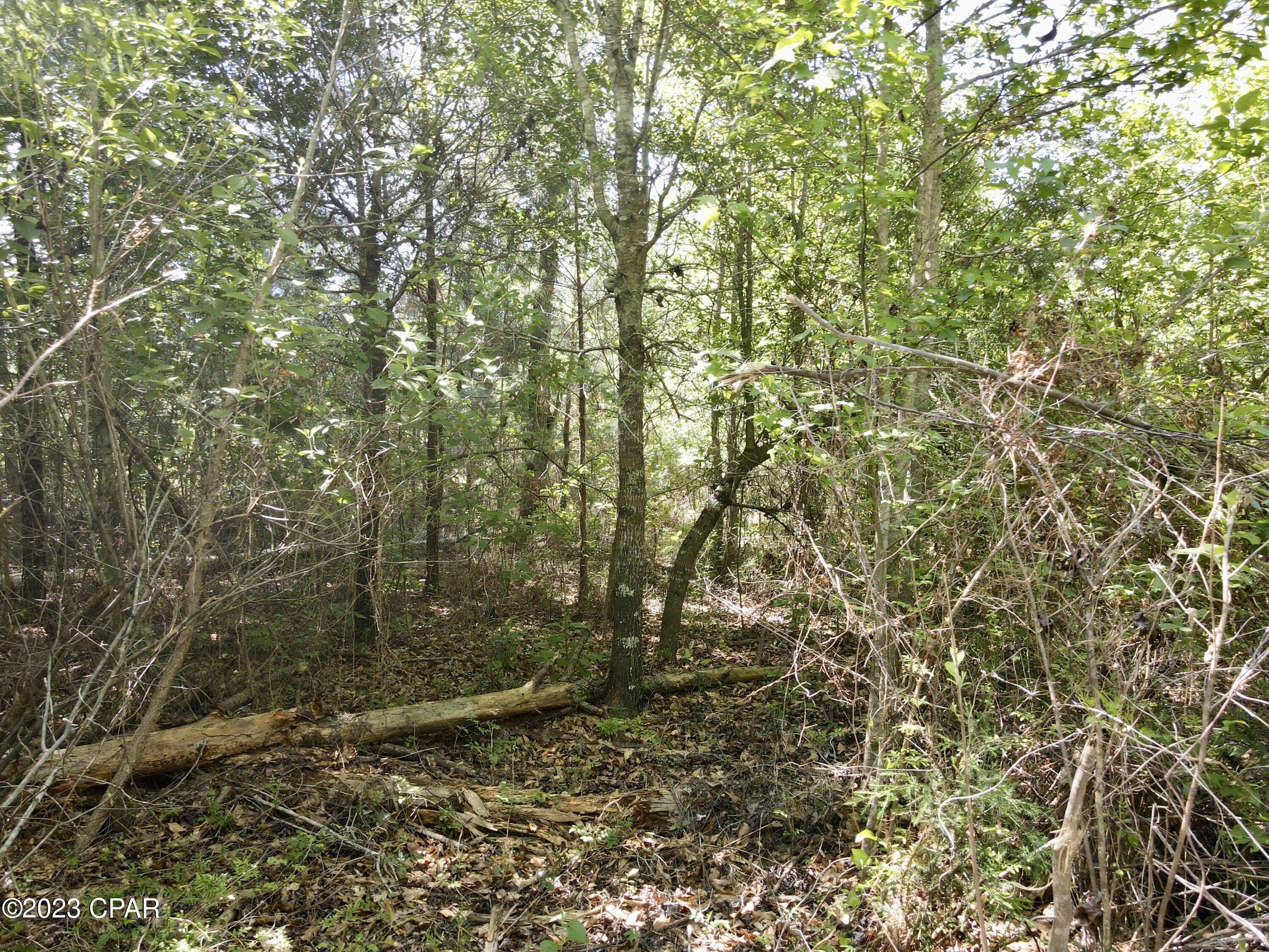 No Named Subdivision - Land