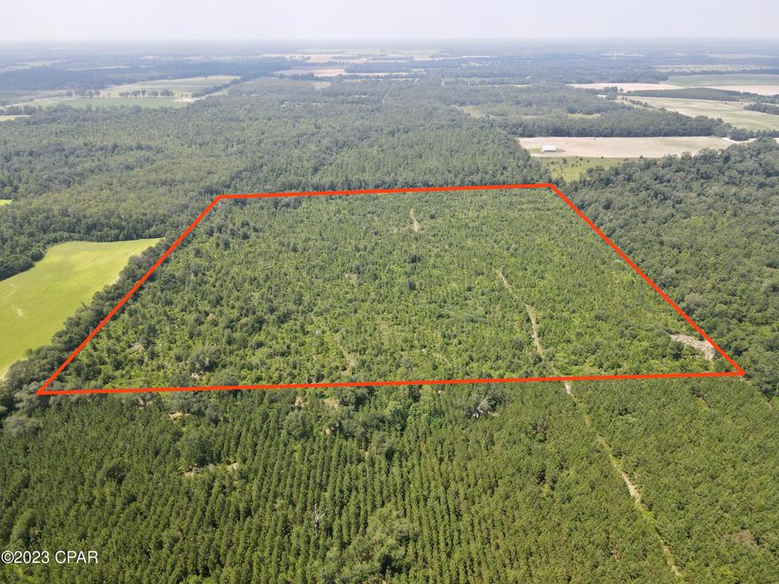 This remarkable 40-acre parcel not only offers exceptional whitetail deer hunting but also the potential for an ideal homesite. With its level flat ground, this property provides the perfect foundation for building your dream home. The 40-acres offers ample space for designing your ideal residence. In addition, this parcel is surrounded by timber on all four sides, giving you complete privacy. Navigating this expansive property is a breeze, thanks to well-established roads that stretch throughout the parcel. These roads provide convenient access to all boundaries and property corners, ensuring that exploration and development are effortless. Conveniently located, this property is just a short distance from cities and towns where you can enjoy a variety of shopping, dining, entertainment and healthcare options. You can enjoy the best of both worlds - the tranquility and privacy of your own expansive property, while still being conveniently connected to nearby communities. Don't miss this rare opportunity to secure a property that combines a thriving whitetail deer herd and the potential for a magnificent homesite. Let your imagination soar as you envision the possibilities for your future dream home in this ideal location. Boundary lines are approximate and should be verified by the buyer.