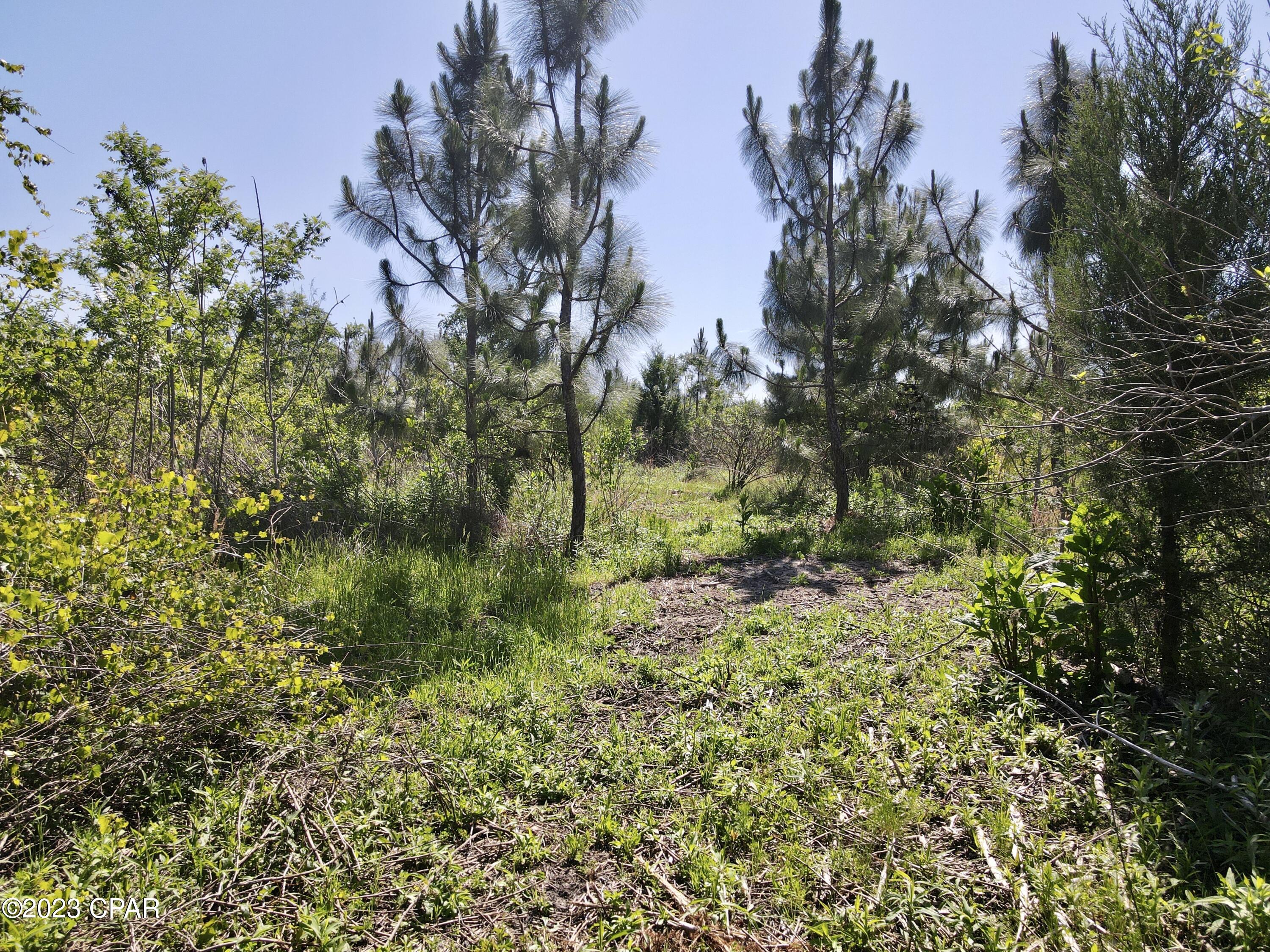 No Named Subdivision - Land