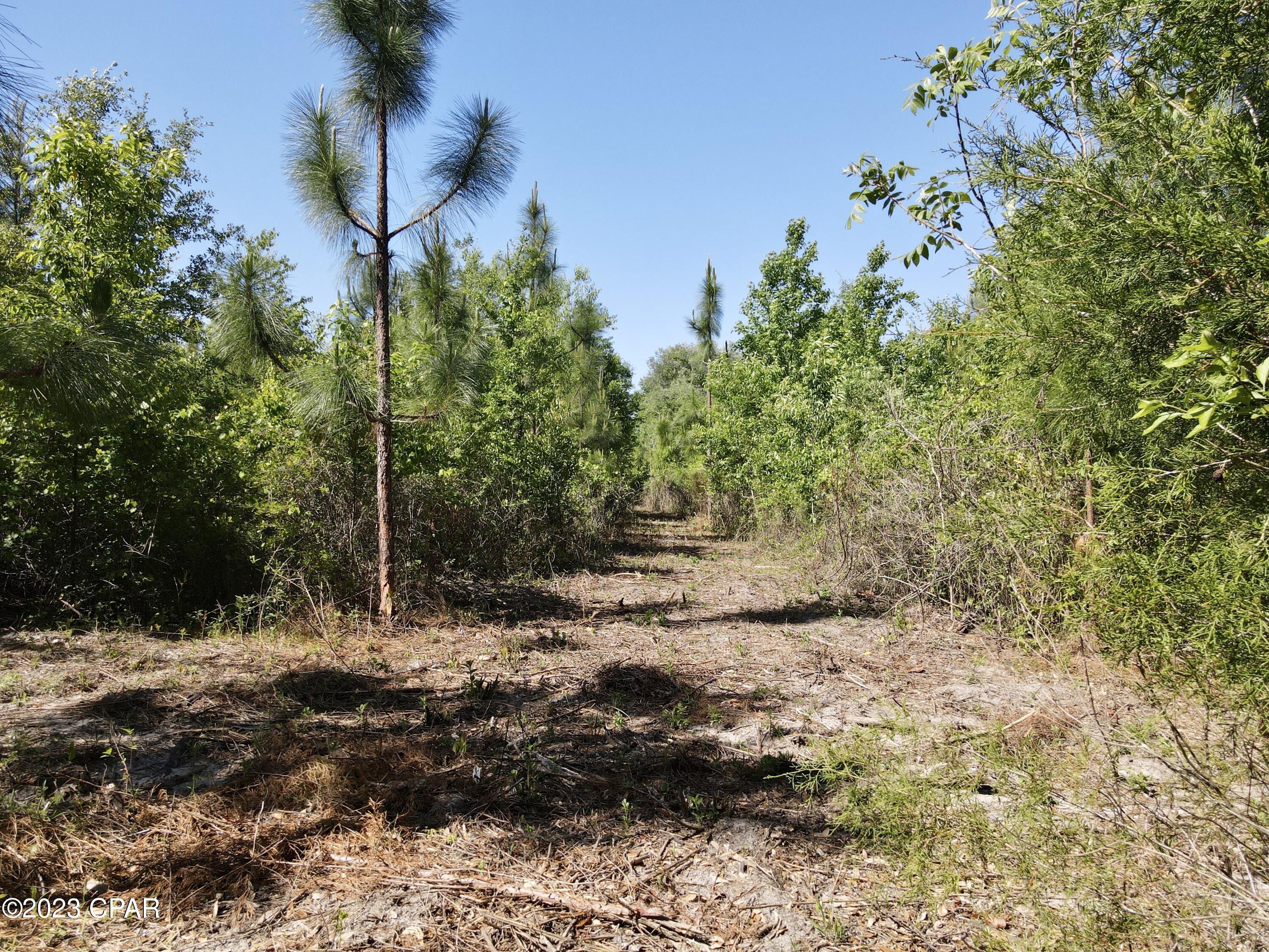 No Named Subdivision - Land